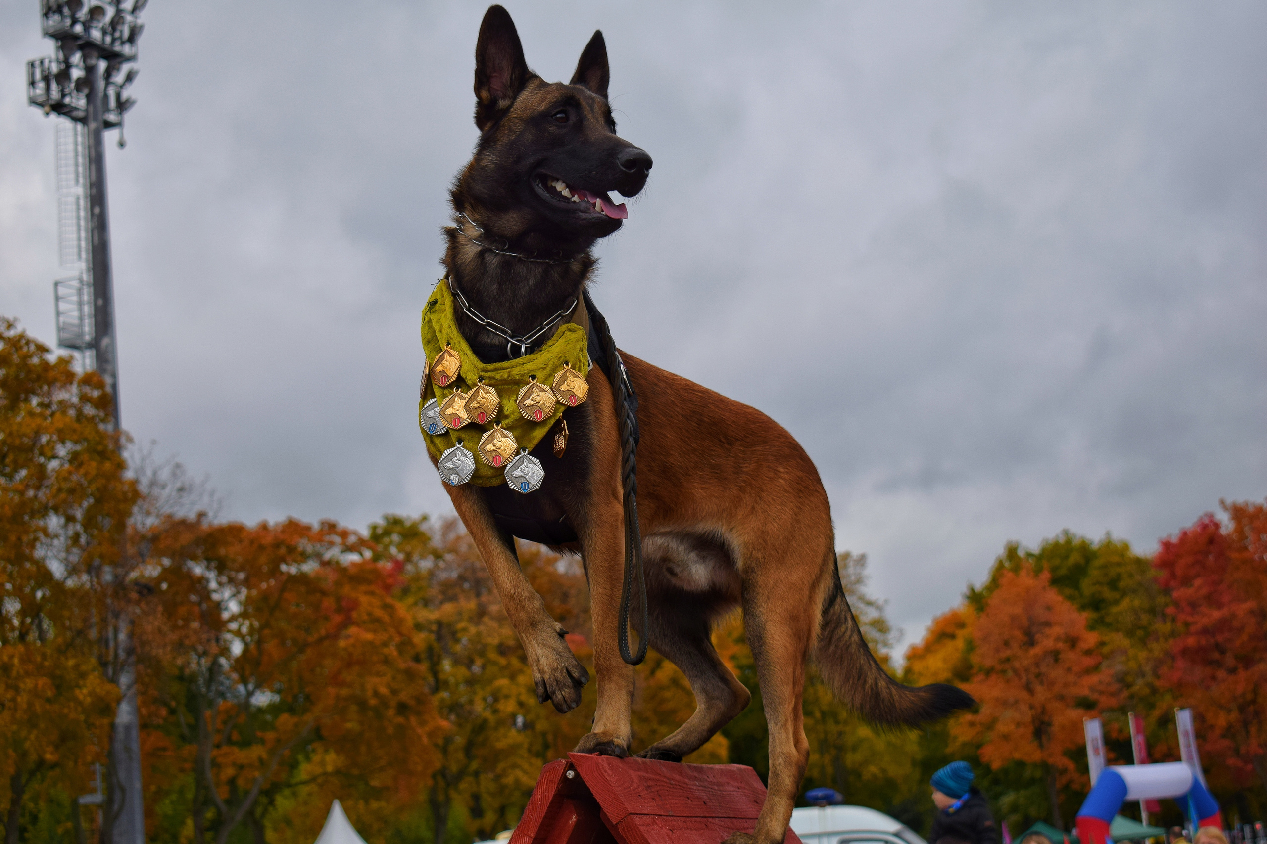 Спортивный парад полиции. «Фотографии в журналах: максимум жизнеподобия, минимум жизни. "