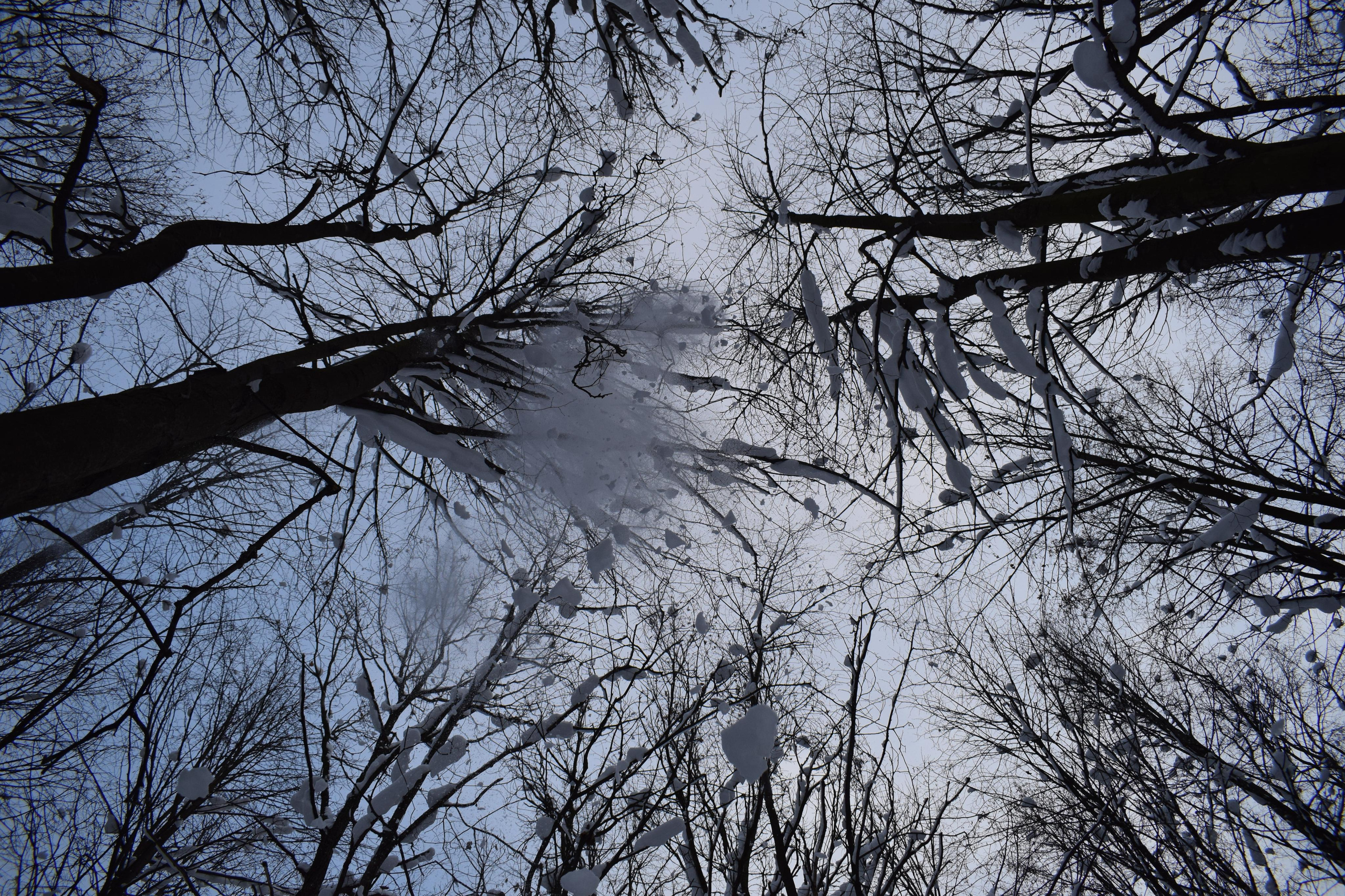 Природные пейзажи. «Фотографии в журналах: максимум жизнеподобия, минимум жизни. "