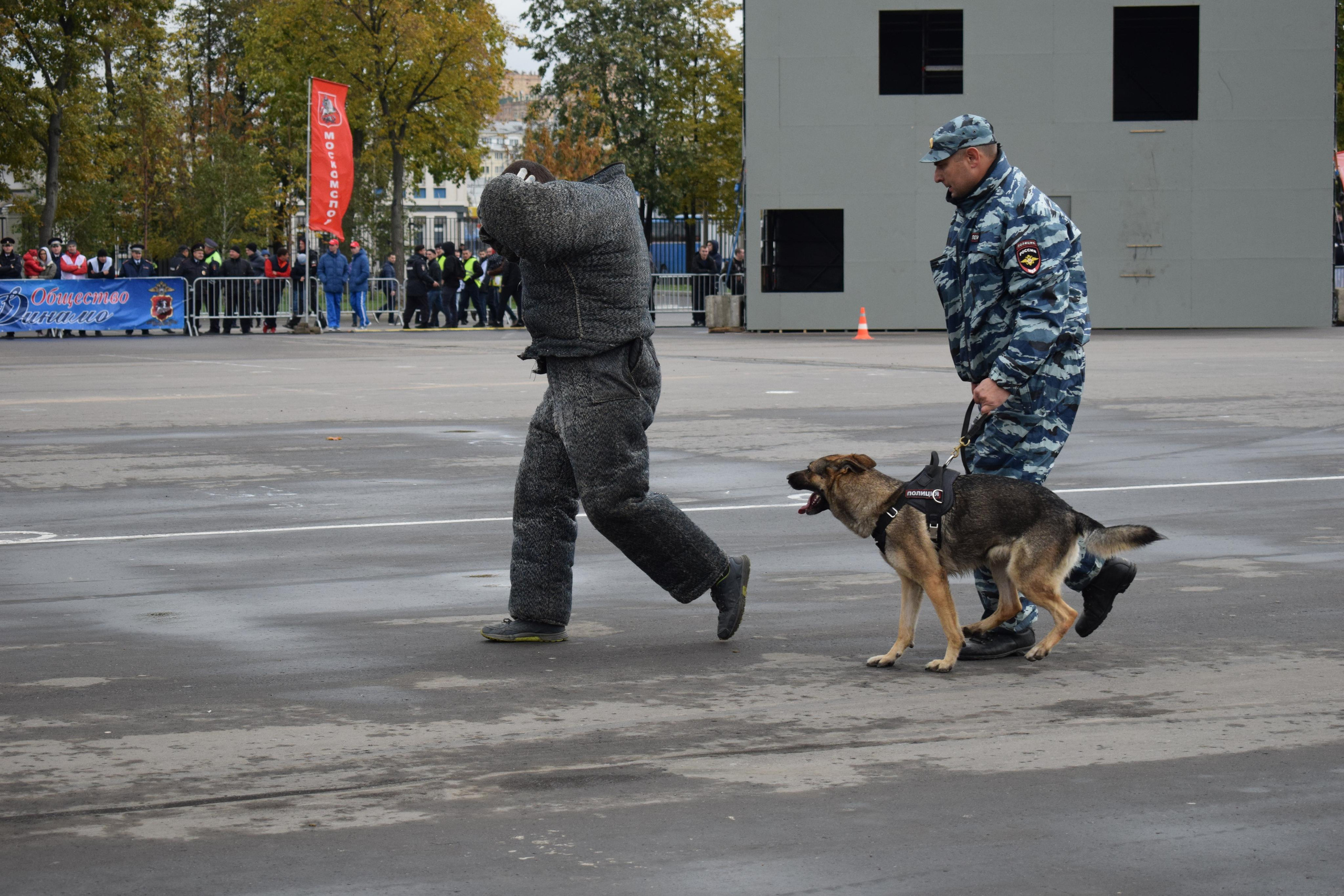 Спортивный парад полиции. «Фотографии в журналах: максимум жизнеподобия, минимум жизни. "