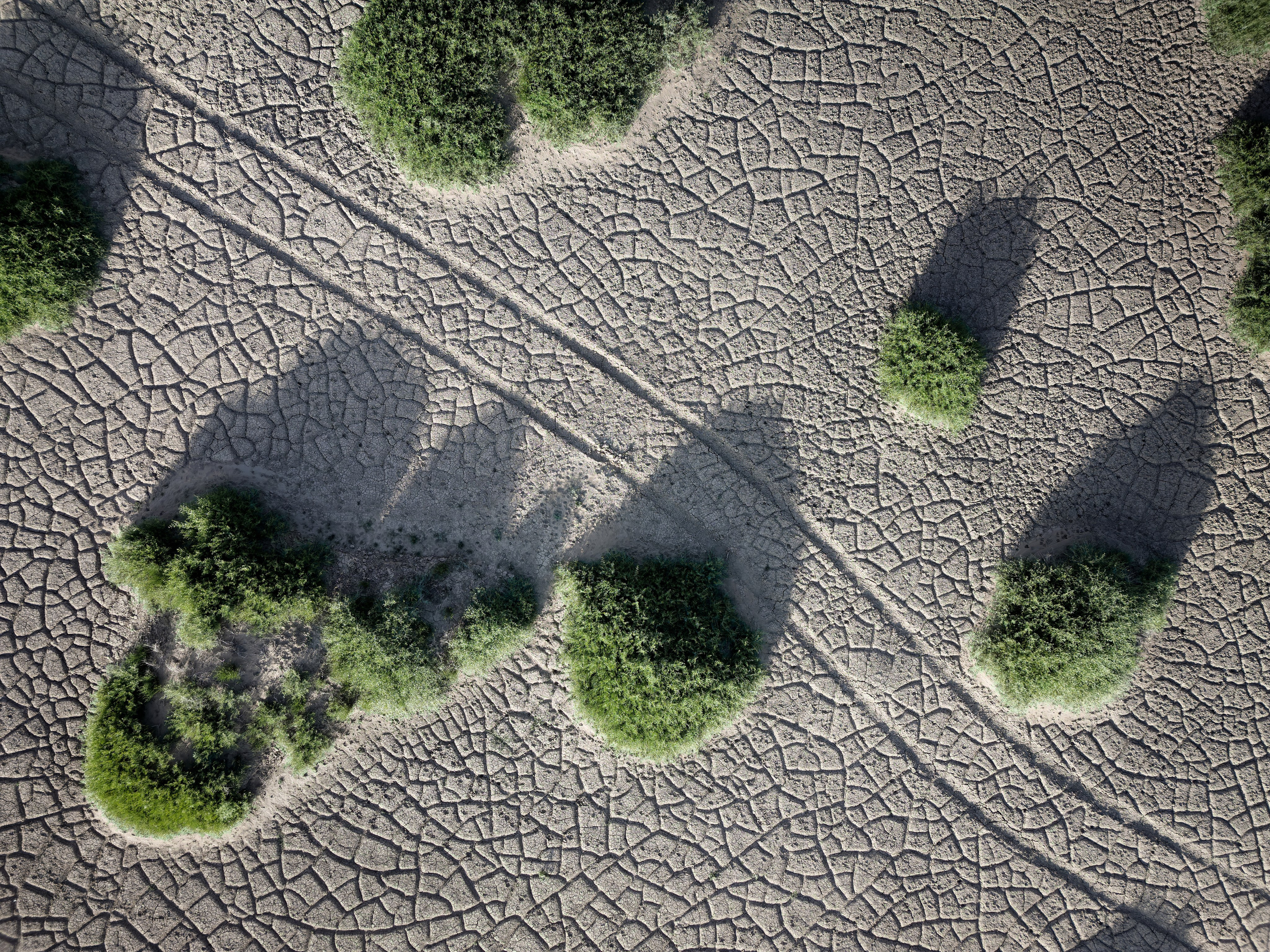 Экспедиция в Монголию (Гоби). Семоха Валерий. Фотограф