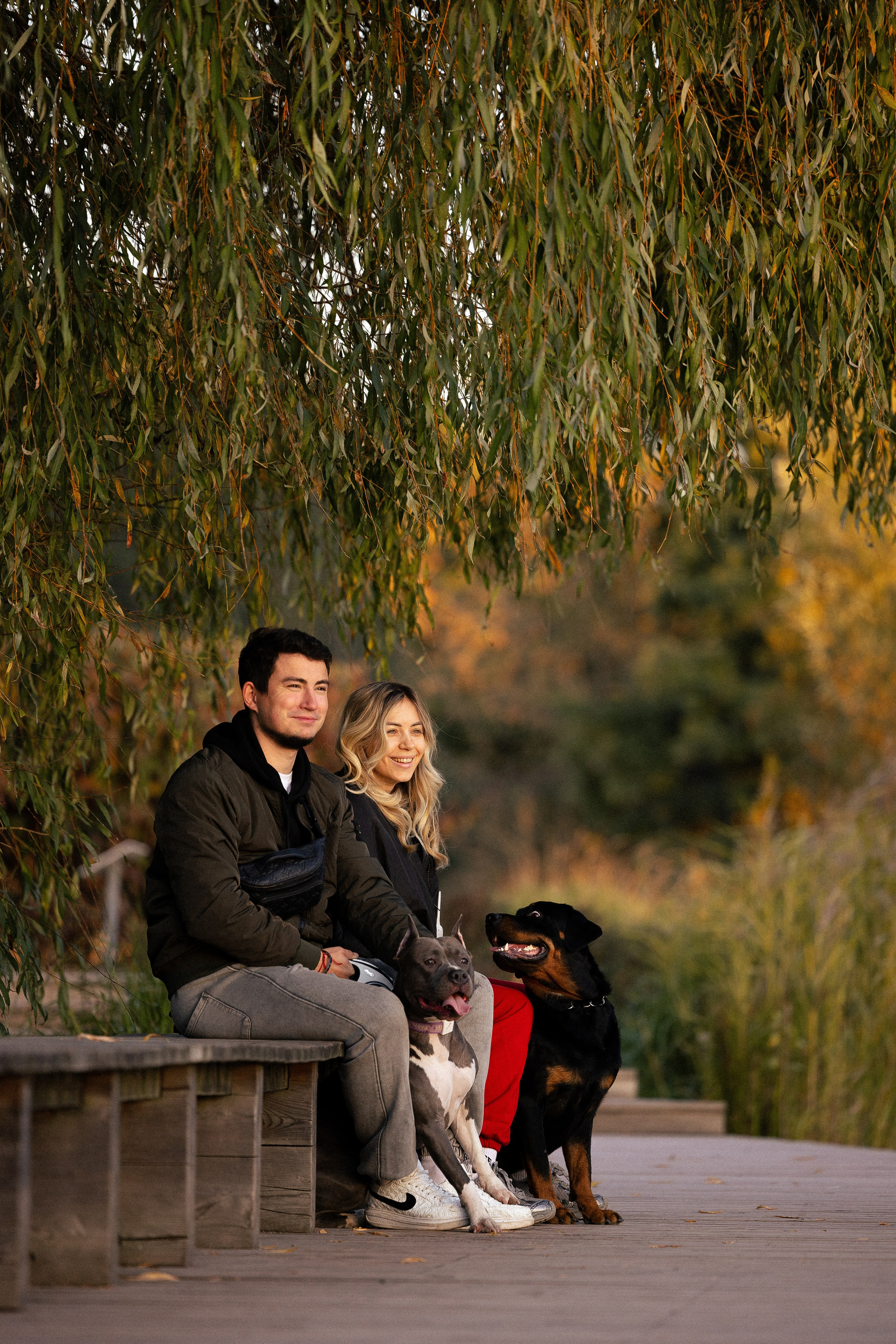 Катя, Леша, Лея и Трой. Фотограф и видеограф анималист Аганина Дарья