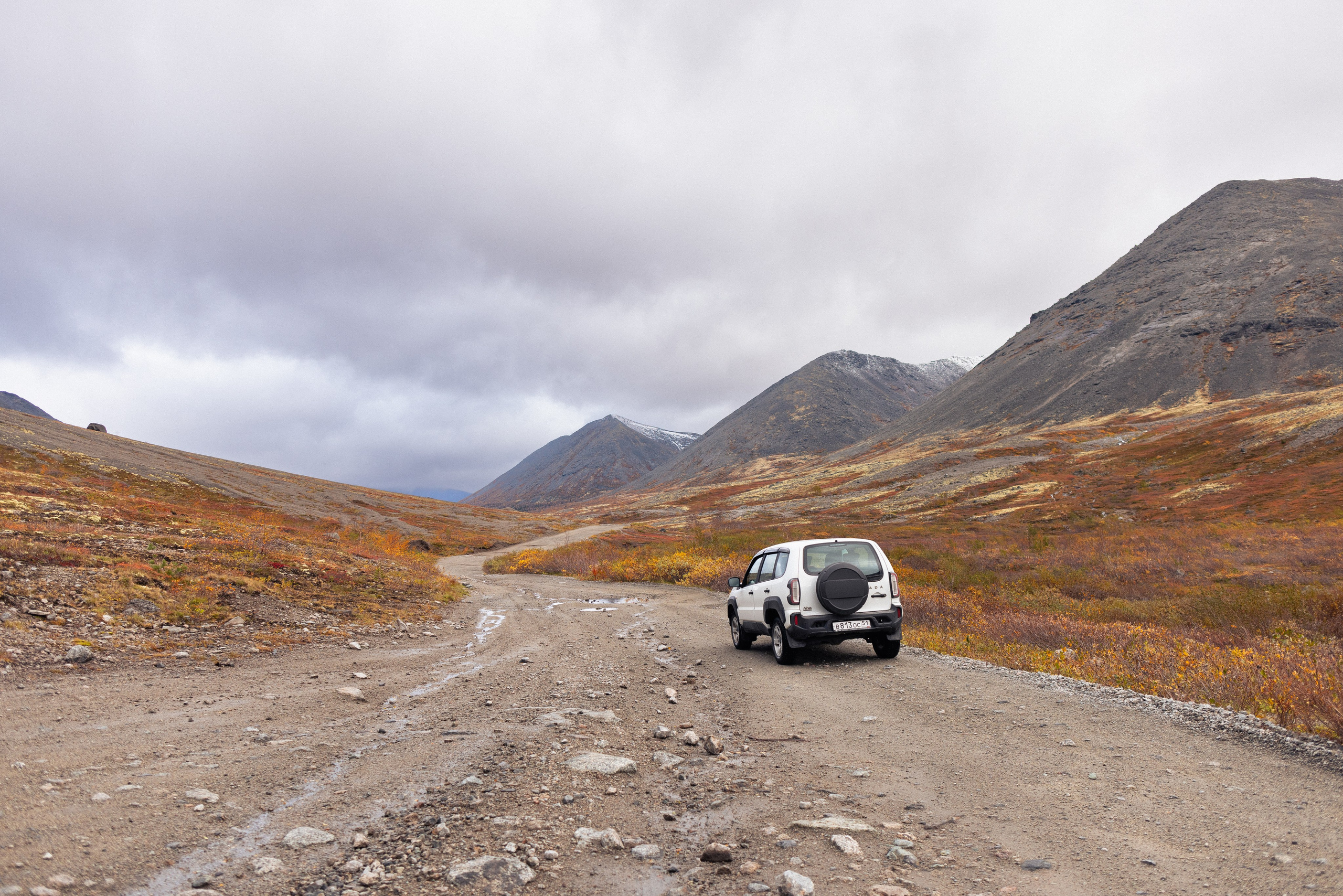 Кольский. Фотограф и видеограф анималист Аганина Дарья
