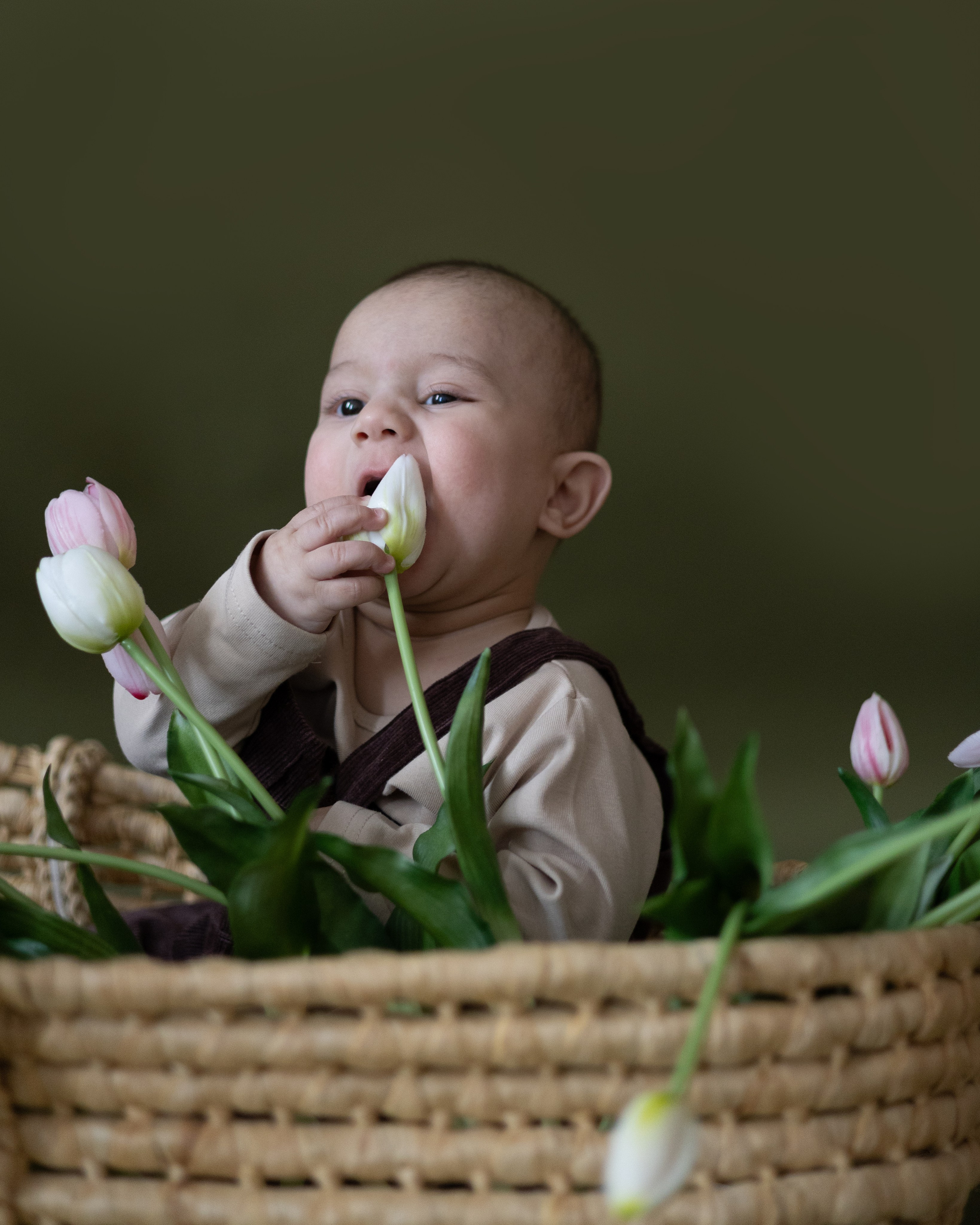 Малыш Ариан ♡. Главная