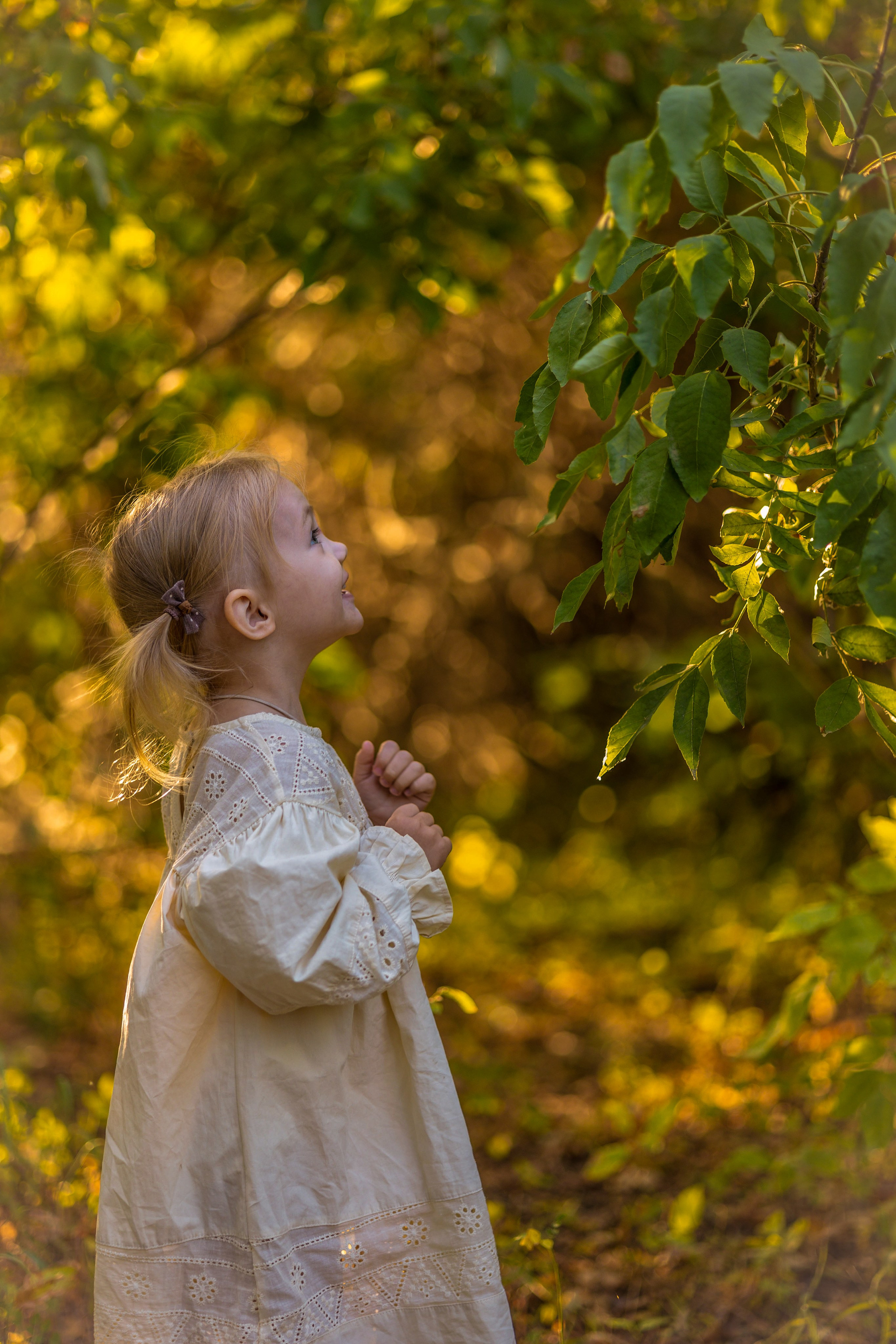 Семья и дети. Основное