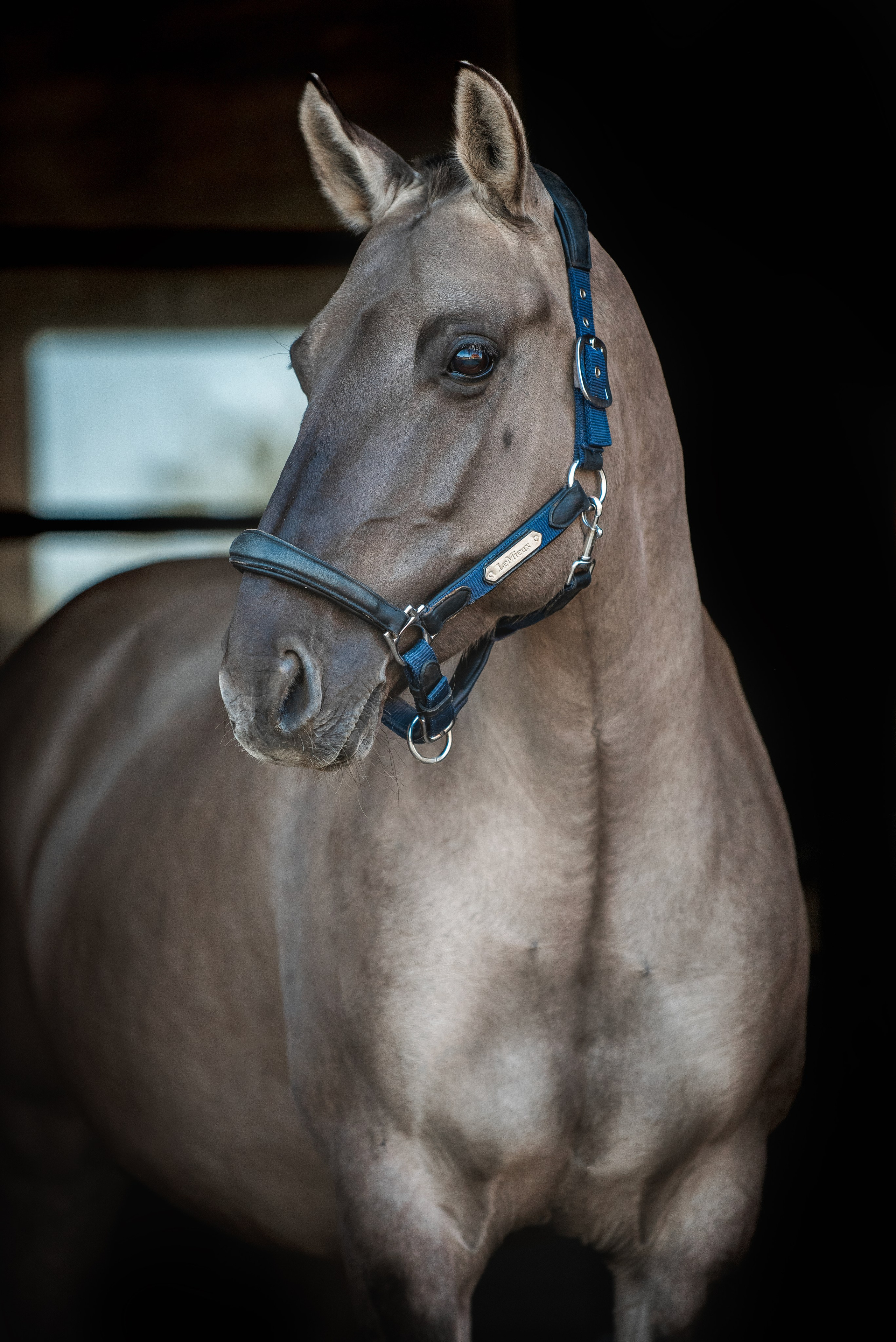 Катя SedlaMSK и Кася с Габи. Конный фотограф Куракина Дарья • Фотосессии с лошадьми