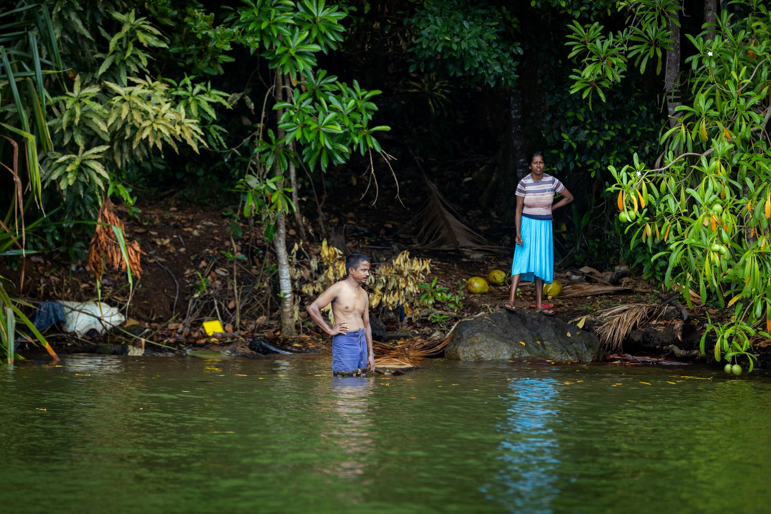 Шри-Ланка (весна 2024). Фотограф Виноградов Константин