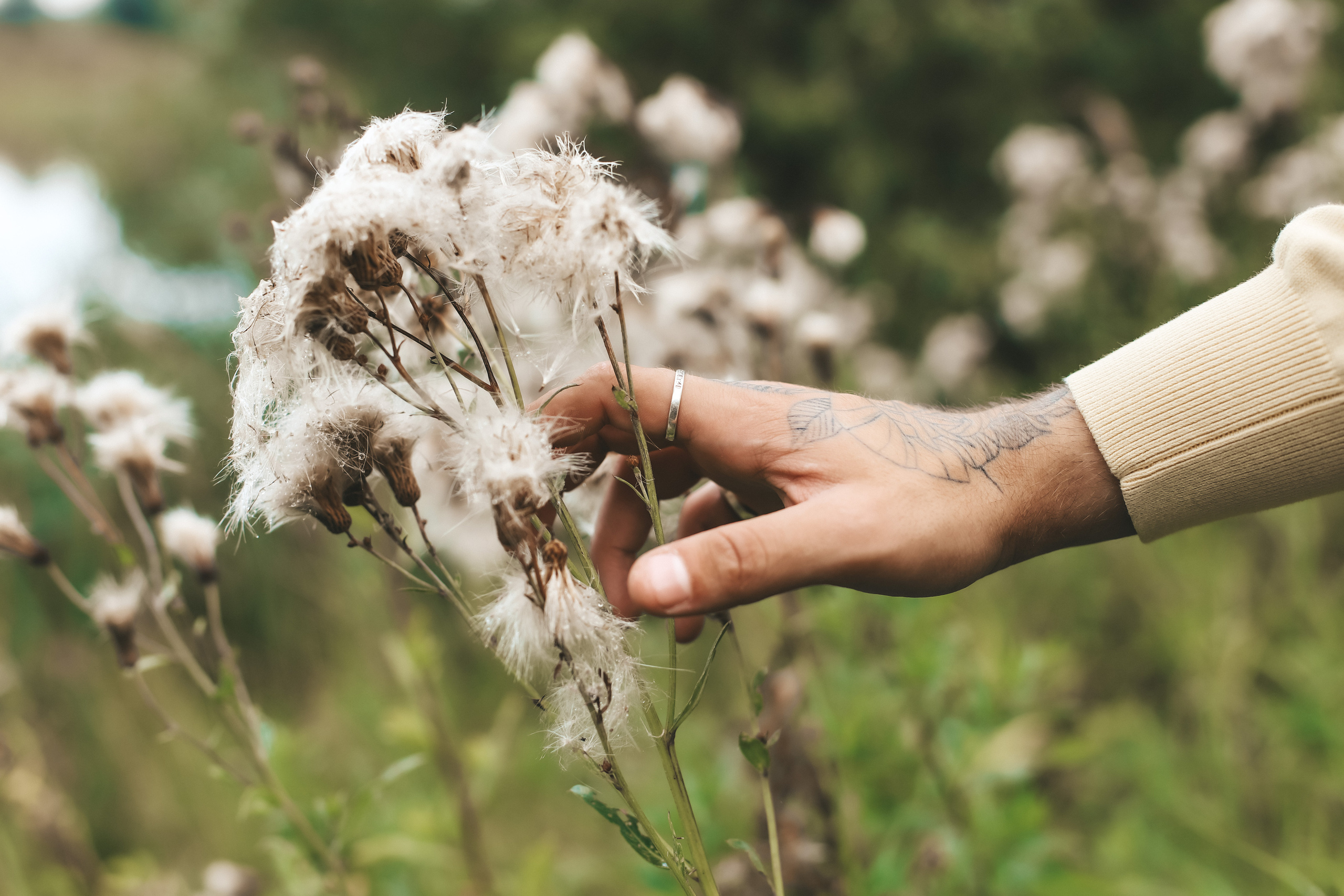 Алексей. Фотограф беременности и семейных историй Эльвира Акарибе в городе Краснодар!