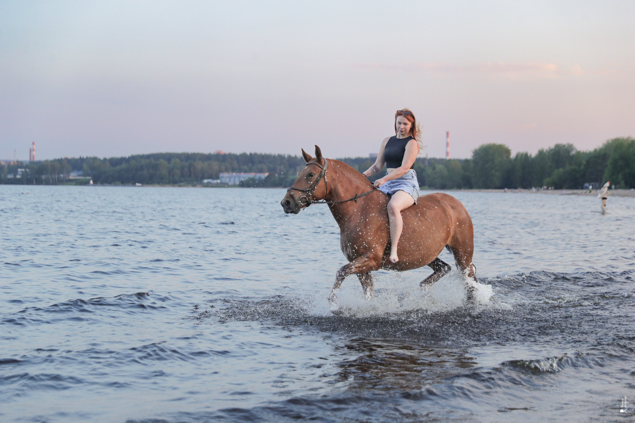Фото с лошадьми. Портретный фотограф Денис Милютин