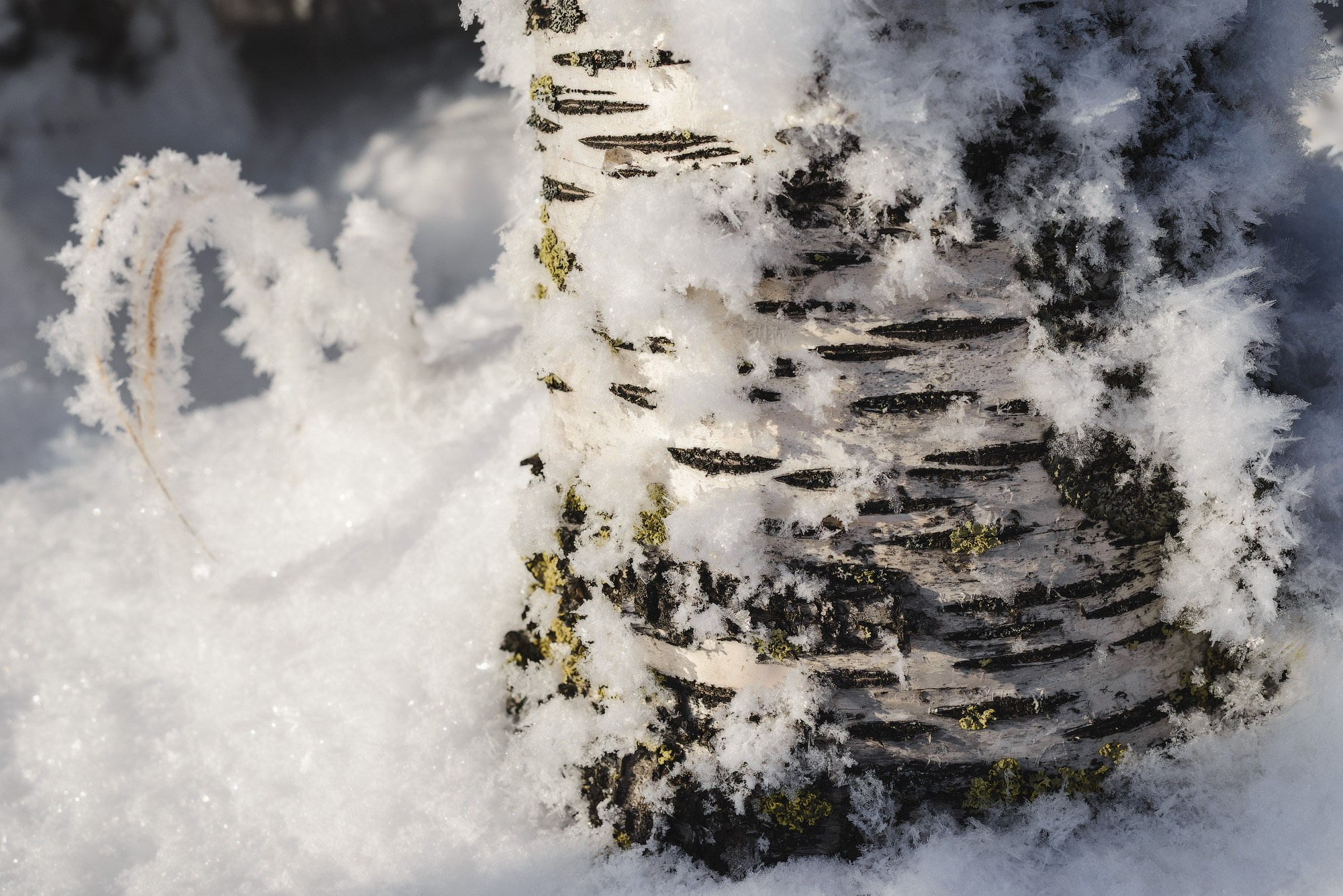 Фото горы Белая (Нижний Тагил) | Фотограф Николай Обухов