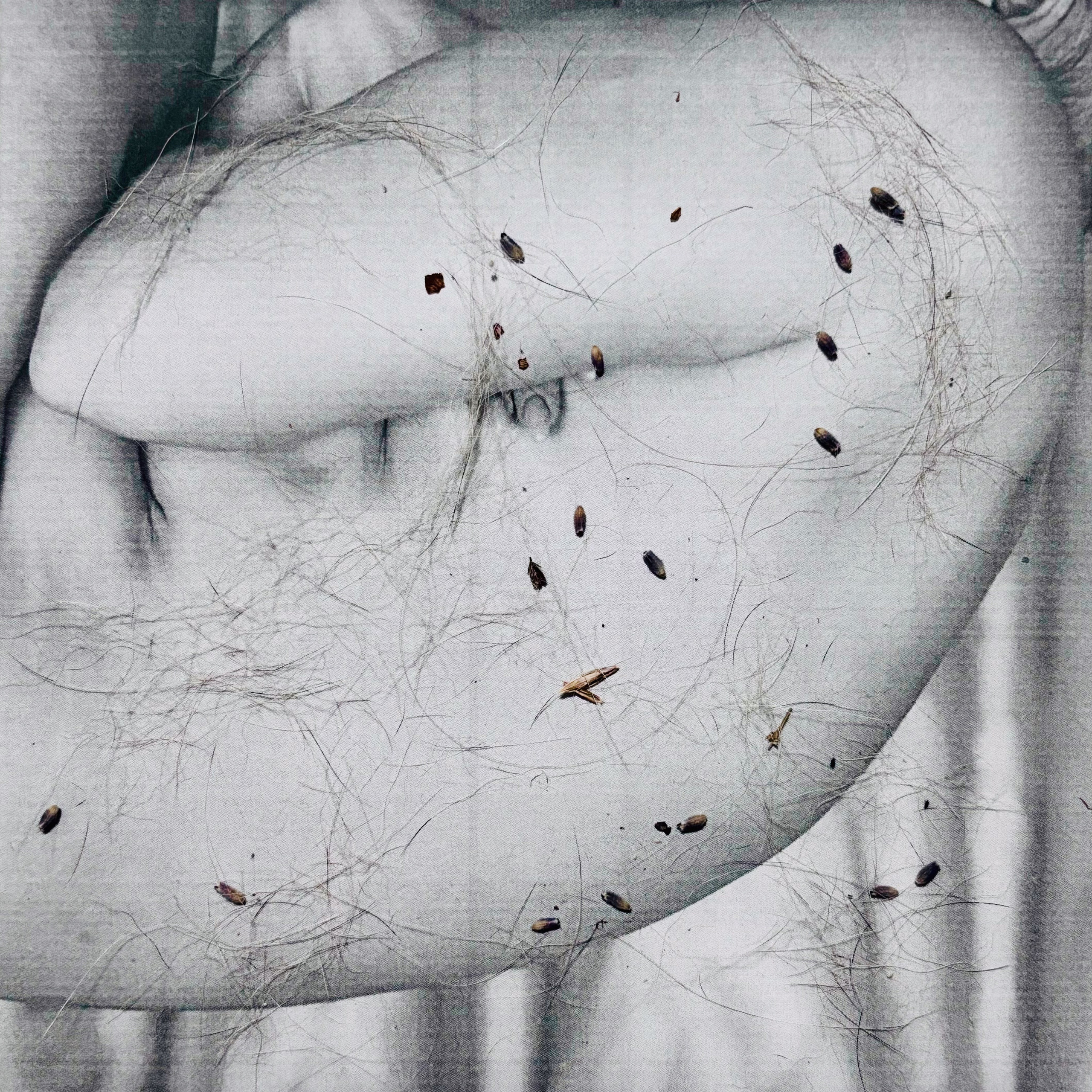 Укрытие. Катерина Эделева