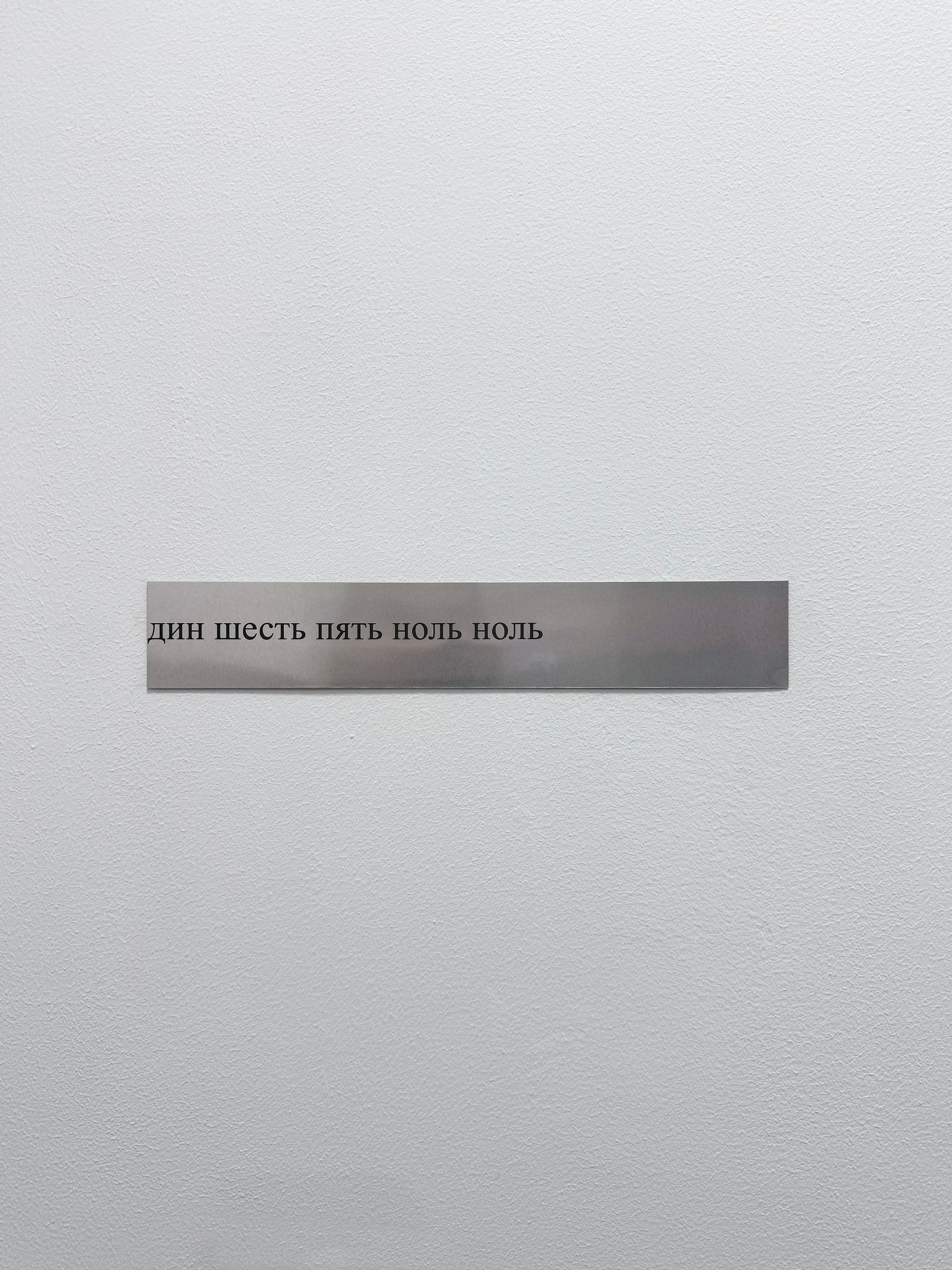 «застревание», выставка Ильи Михеева, 23.08-14.09, пространство пробел, Ростов-на-Дону. Лера Круглова