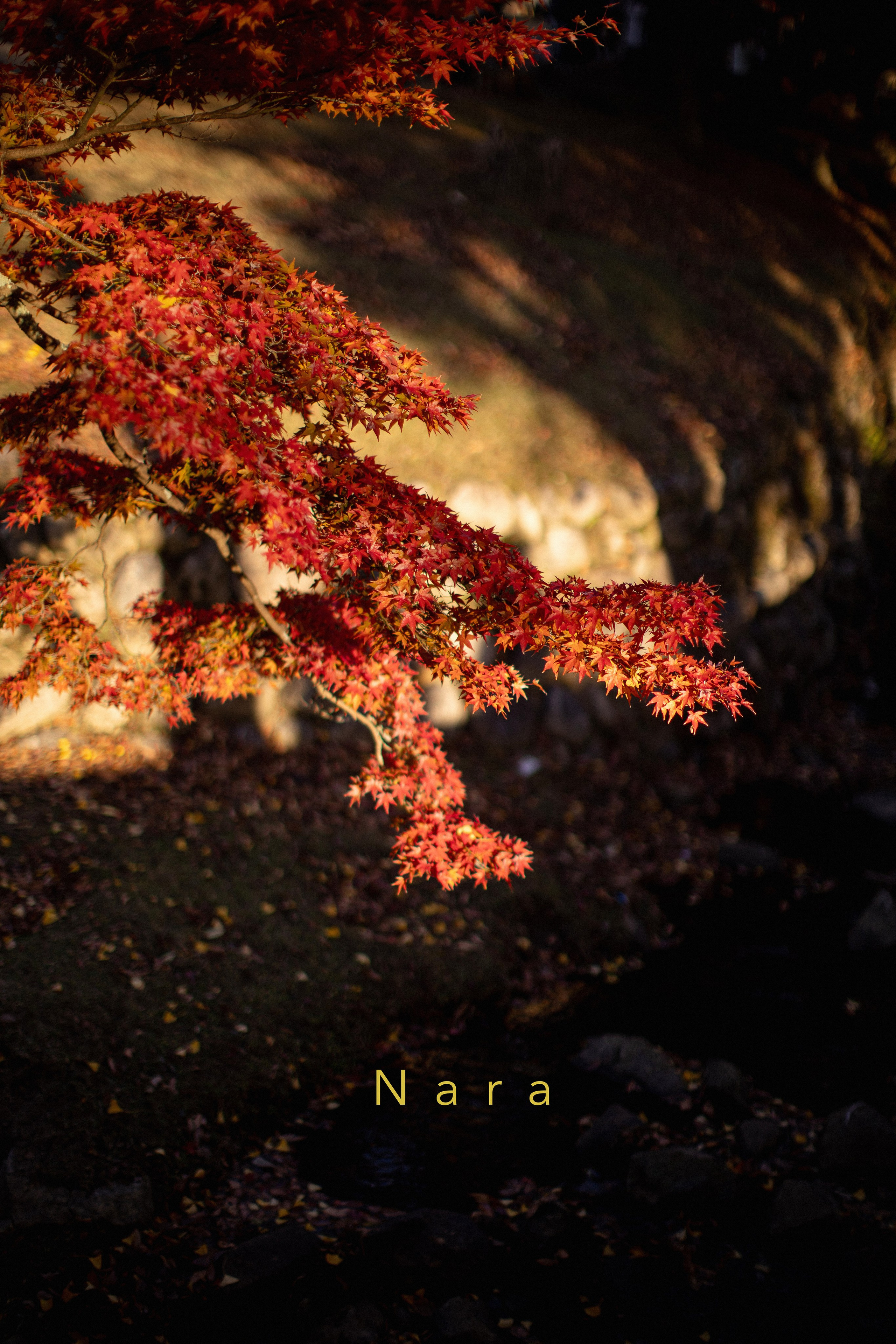 Япония. Главная