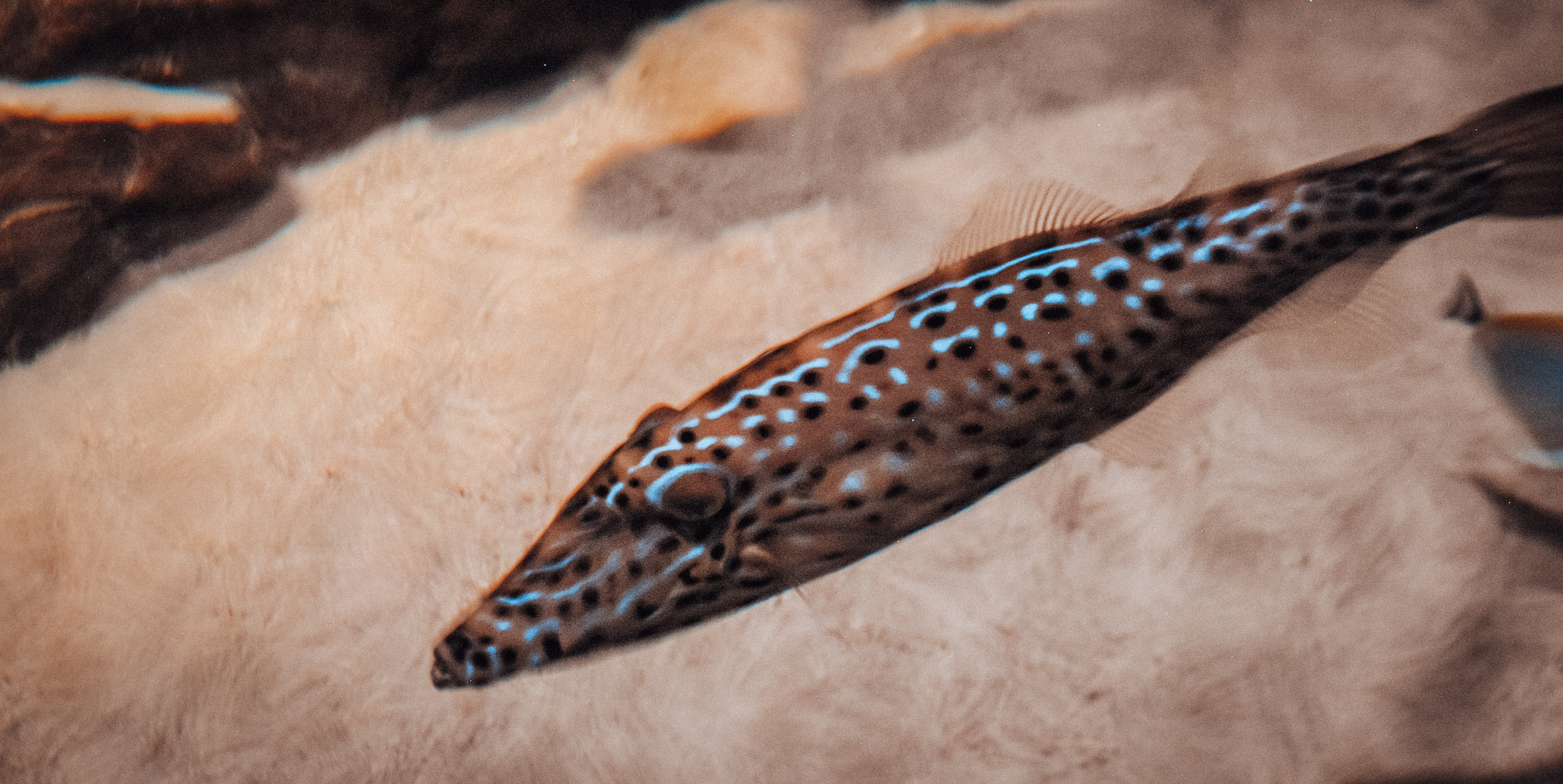 Аквапарк. Портретный фотограф DanilNabody