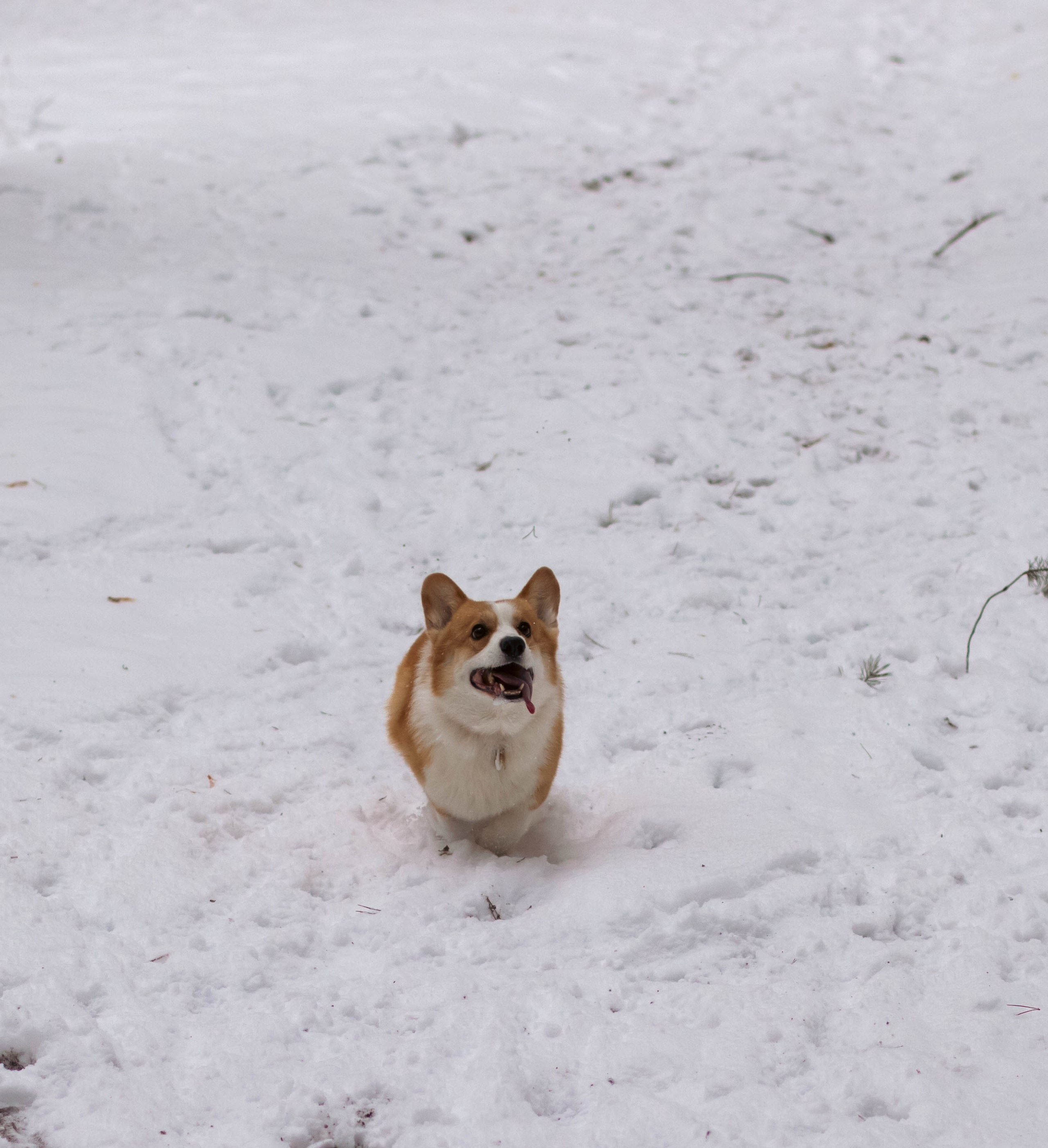 Деймик. Фотограф в Москве Ксюшенька