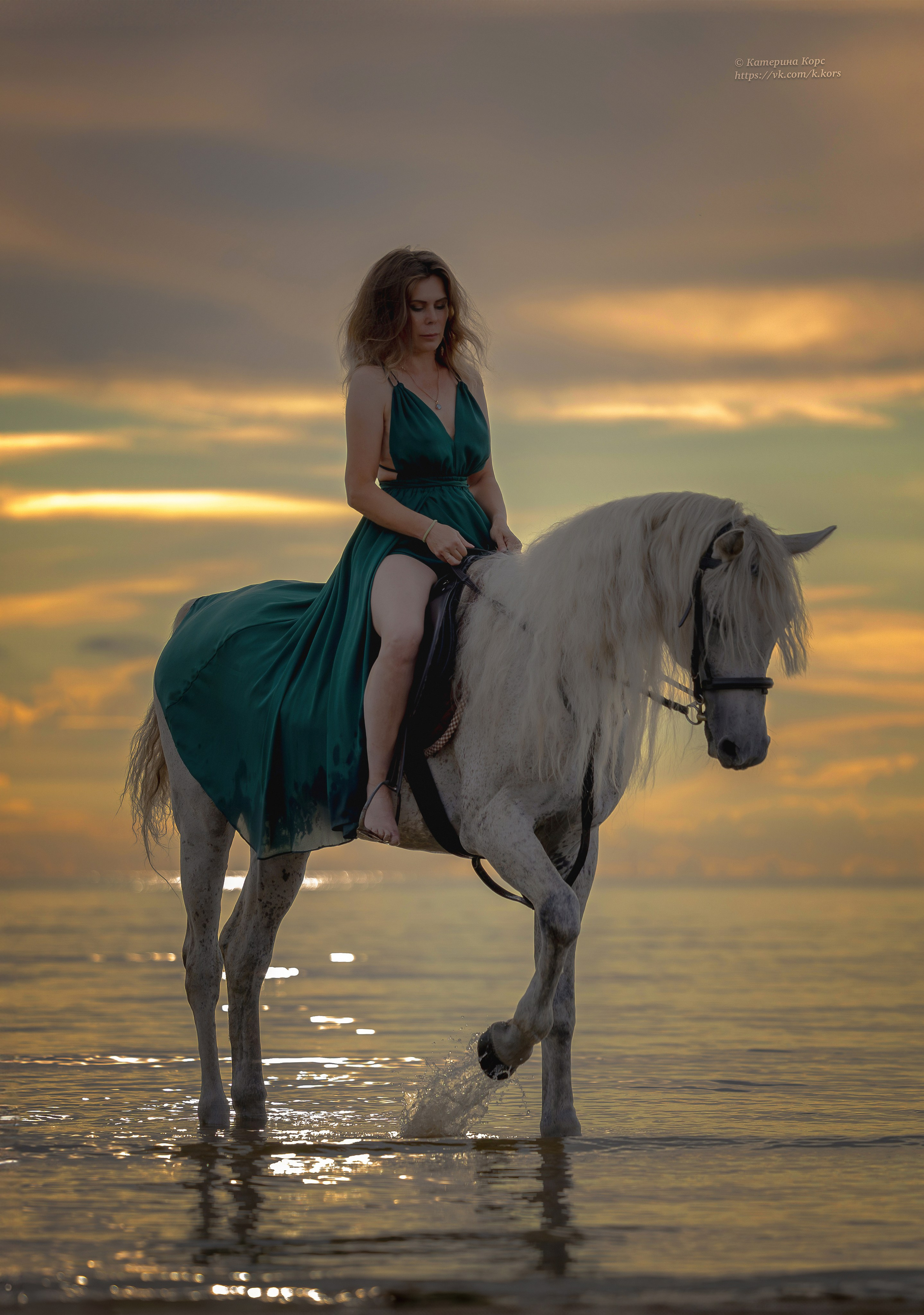 Лошади и люди. Главная