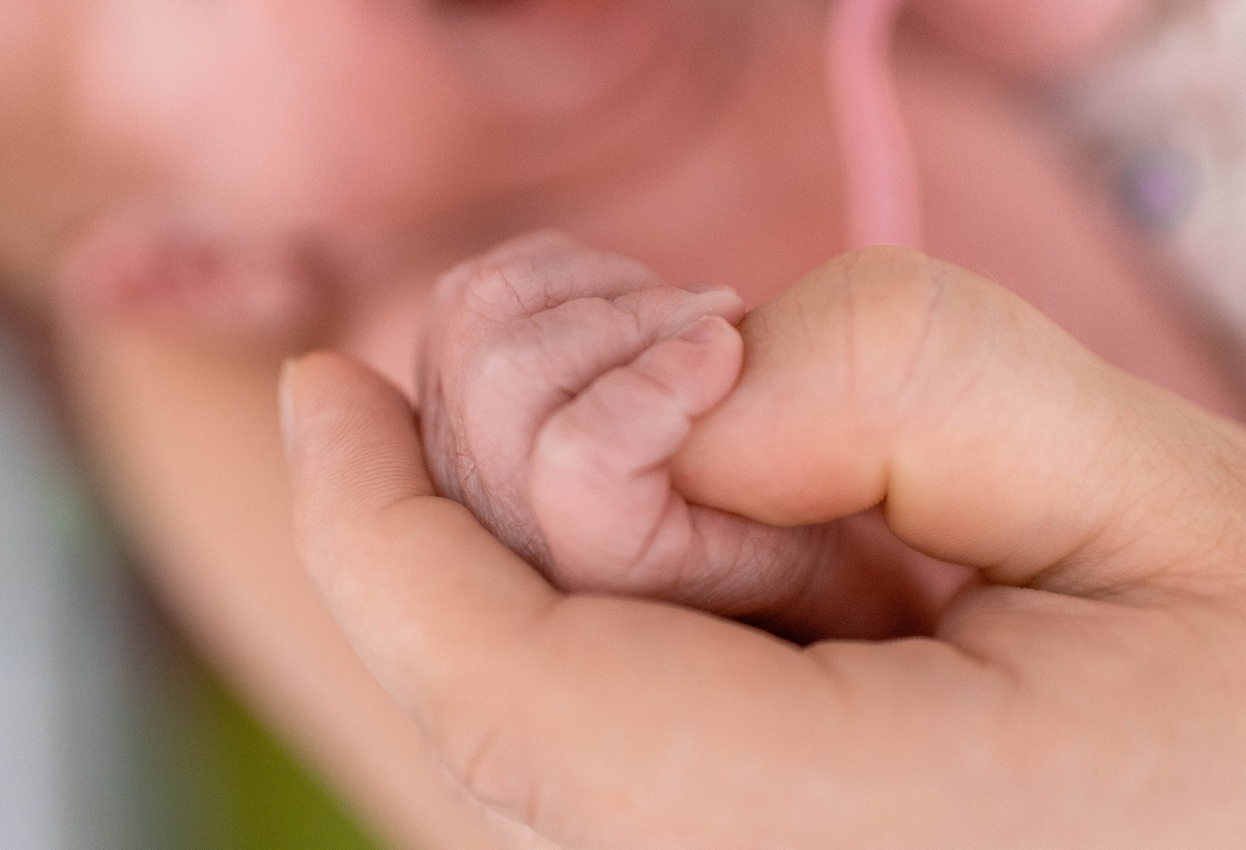Выписка из роддома. Фотограф на Крещение и Венчание в Туле, детский и семейный фотограф