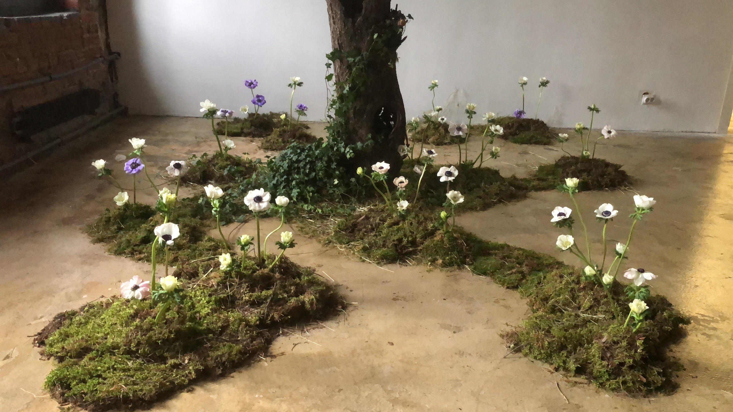 Фотостудия МОХ Зал Сказки. Фотограф Настя Лев