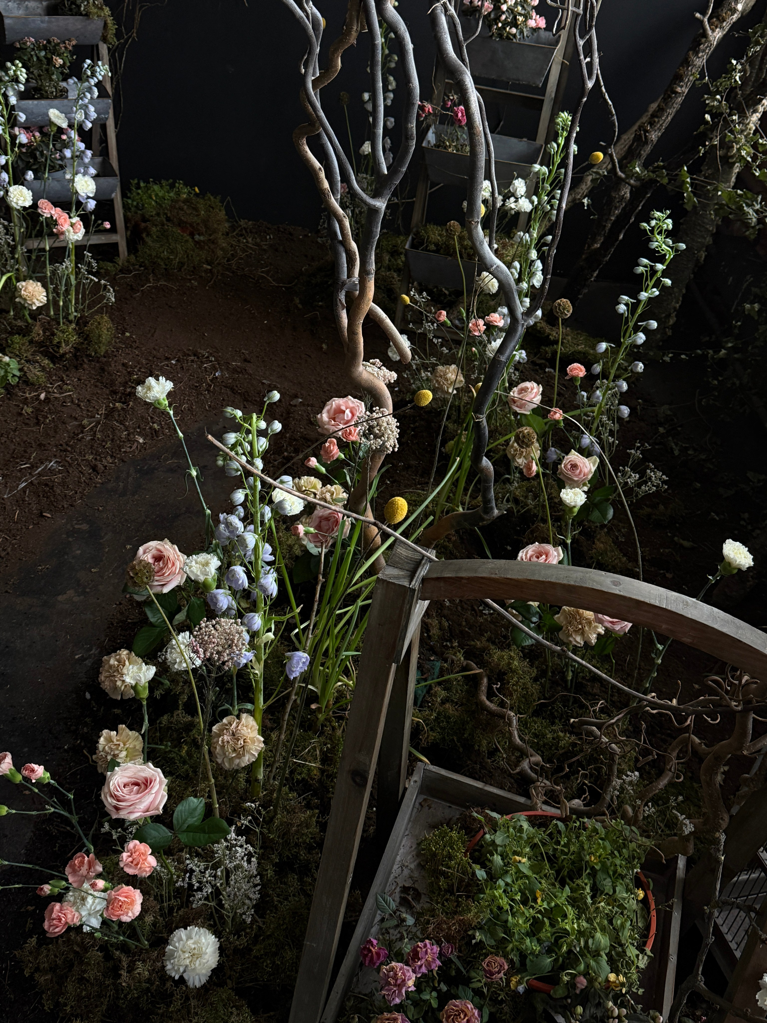 Фотостудия МОХ зал Тьма. Фотограф Настя Лев