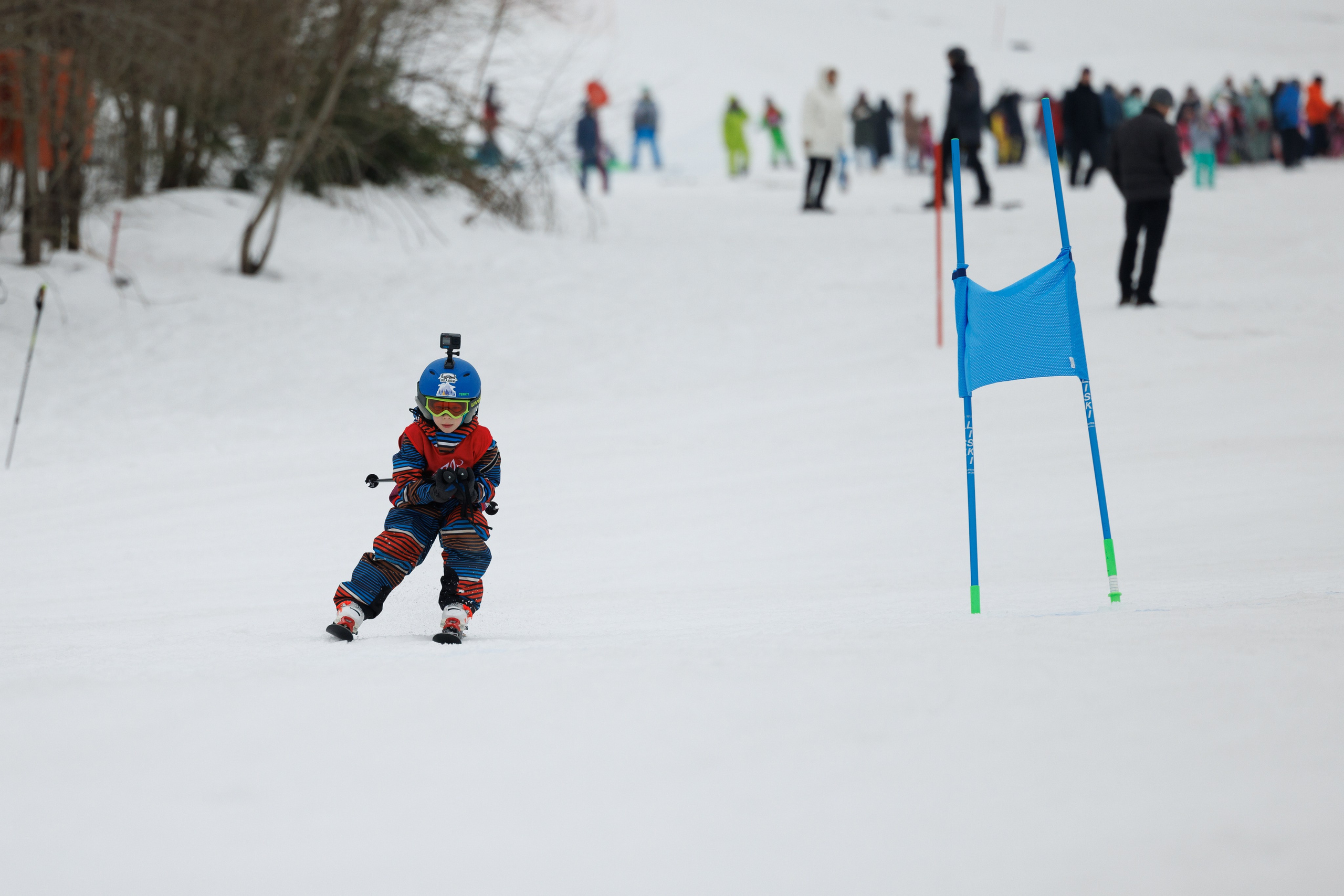 IGORA KIDS CUP 2024(spring). Фотограф Александр Заломаев
