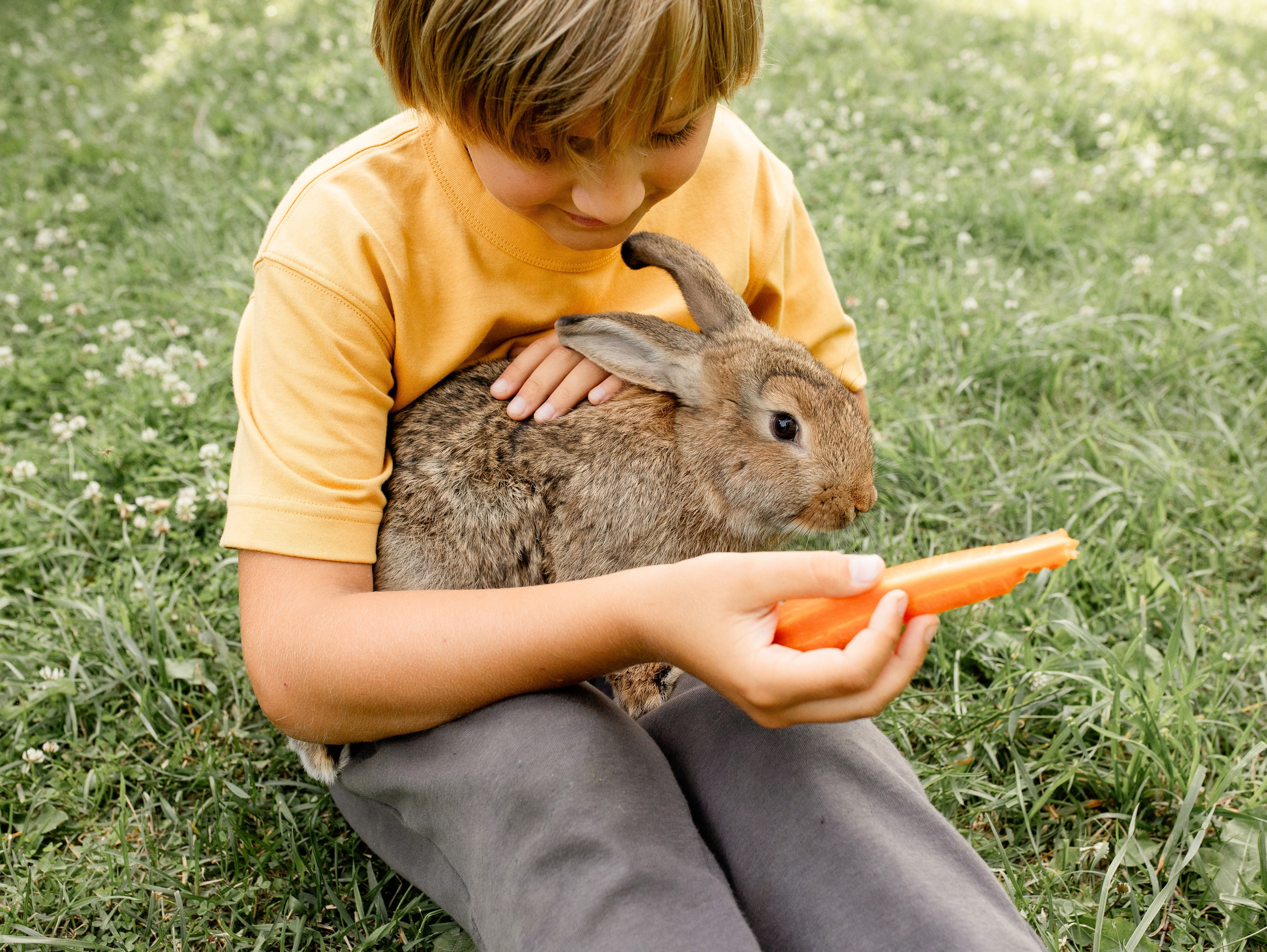 Кролики 2023. Семейный фотограф в Санкт-Петербурге Ирина Иванова