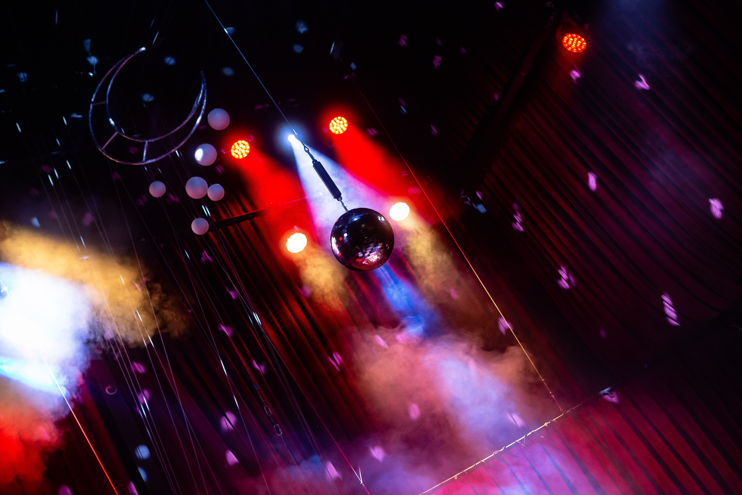 Цирковое шоу. Видеограф Добромыслов