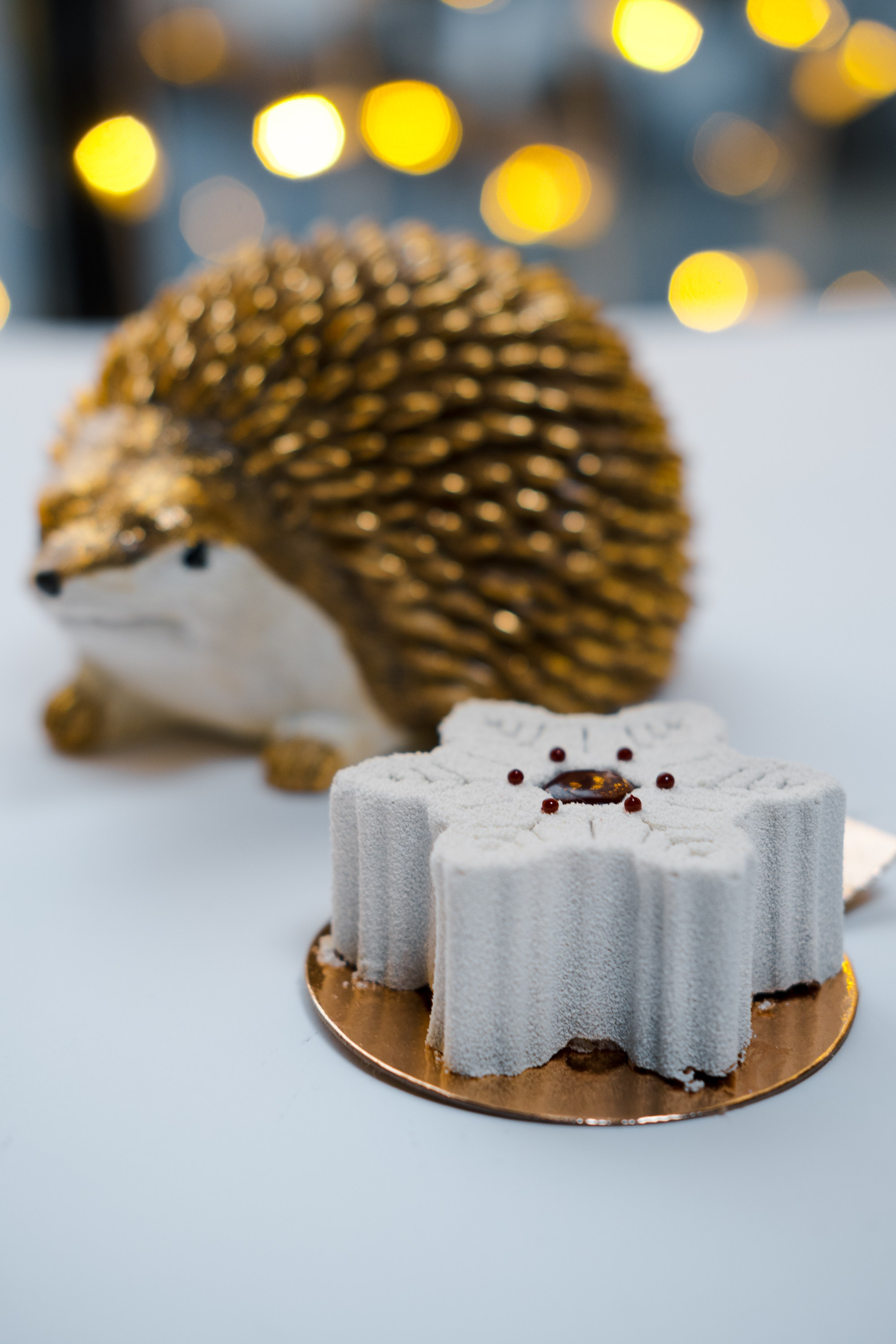 Zelandia. Главная