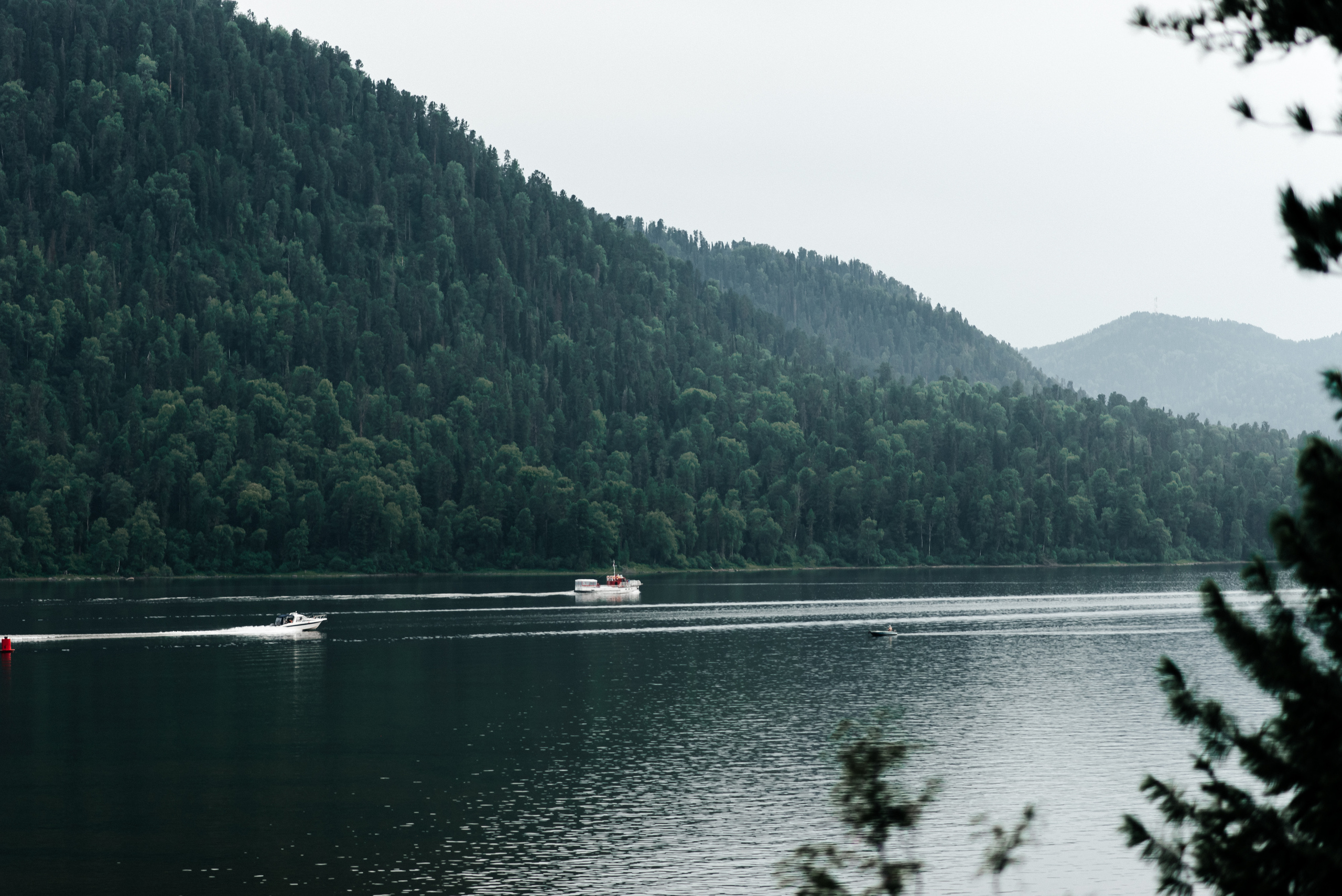 Илья и Юлия. Свадебная  съемка на Алтае