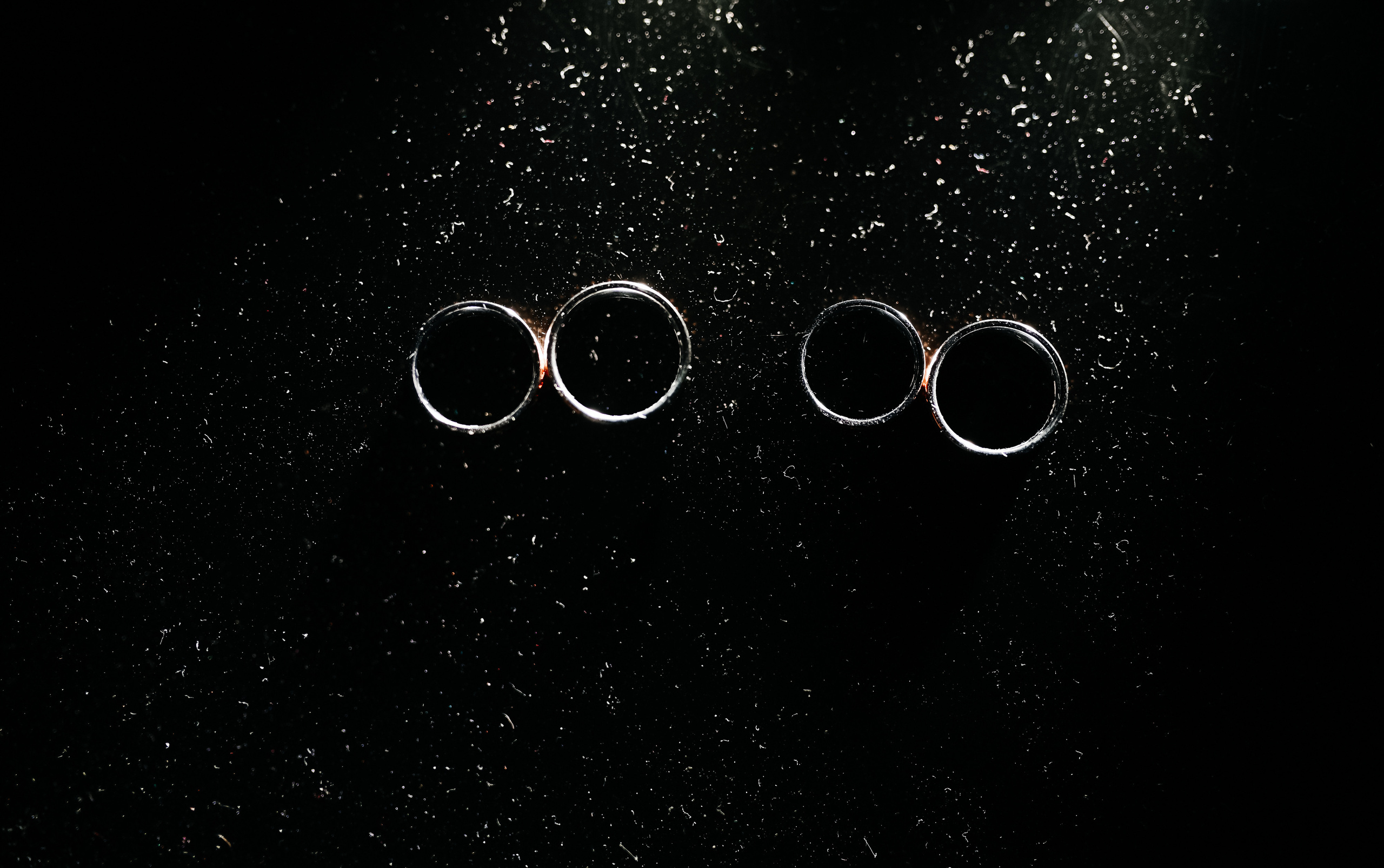 Илья и Юлия. Свадебная  съемка на Алтае