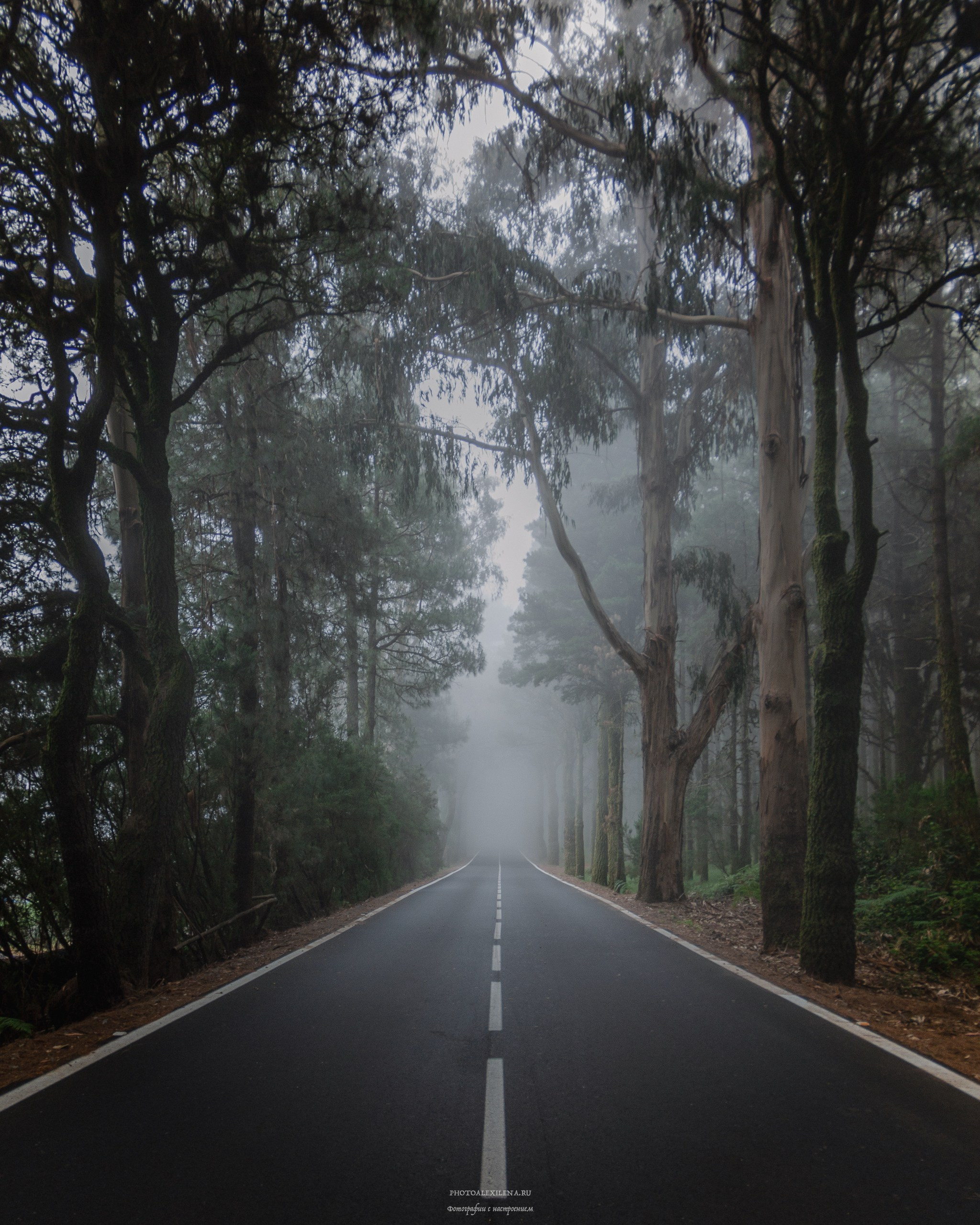 Пути, дороги…. Авторские стильные фотокартины