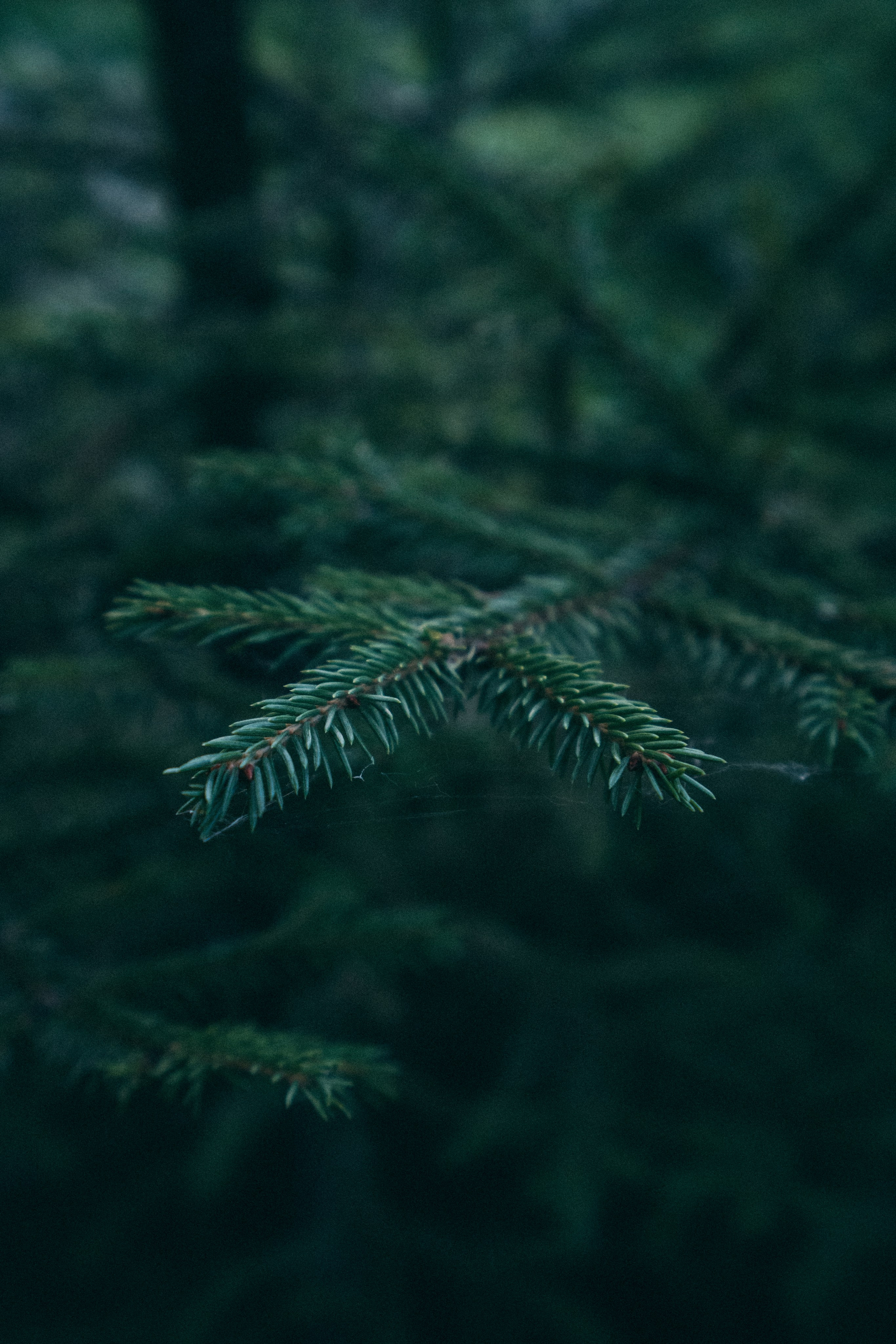 Белгород. Фотограф Алиса Аспер