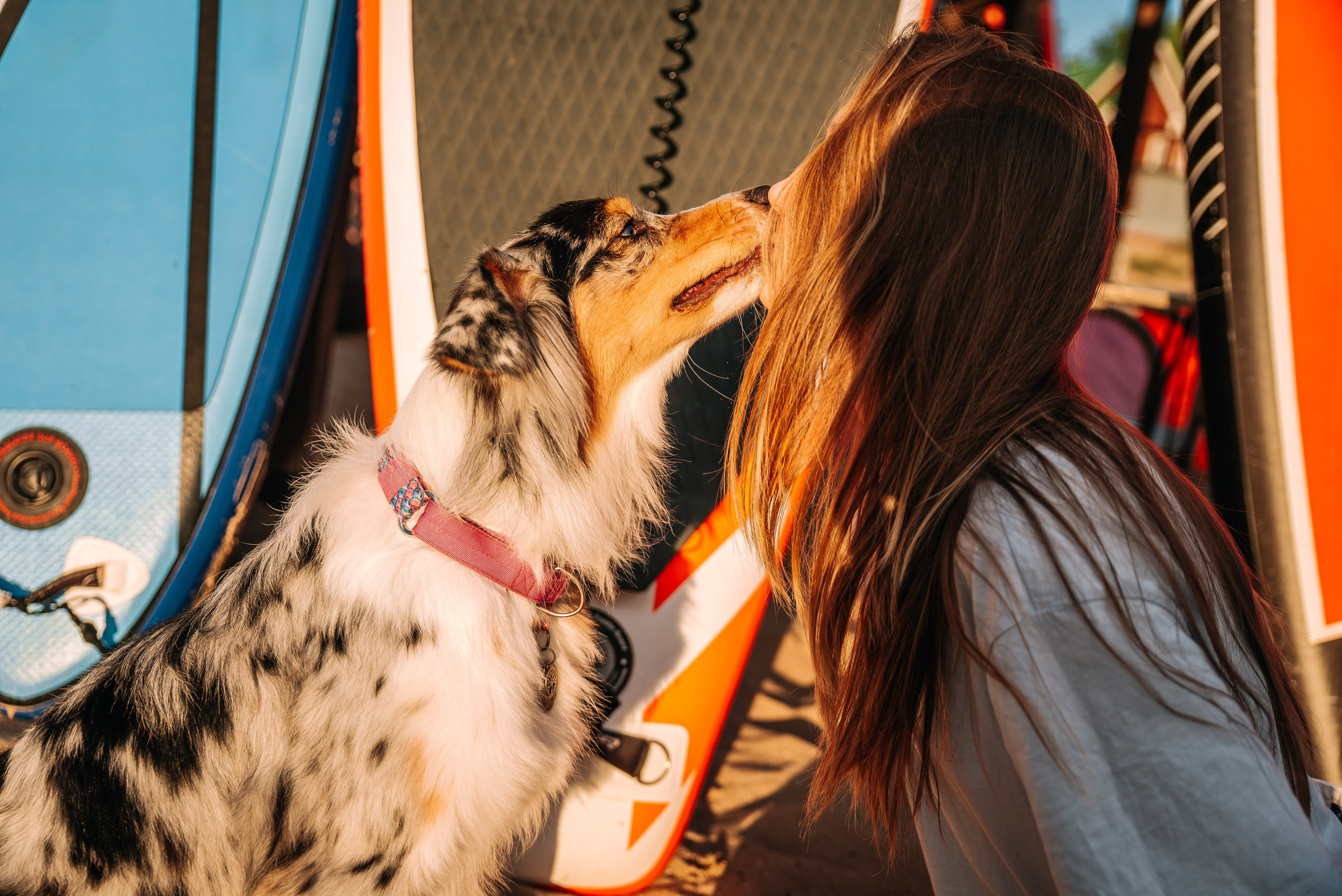 No Bad Days. Главная