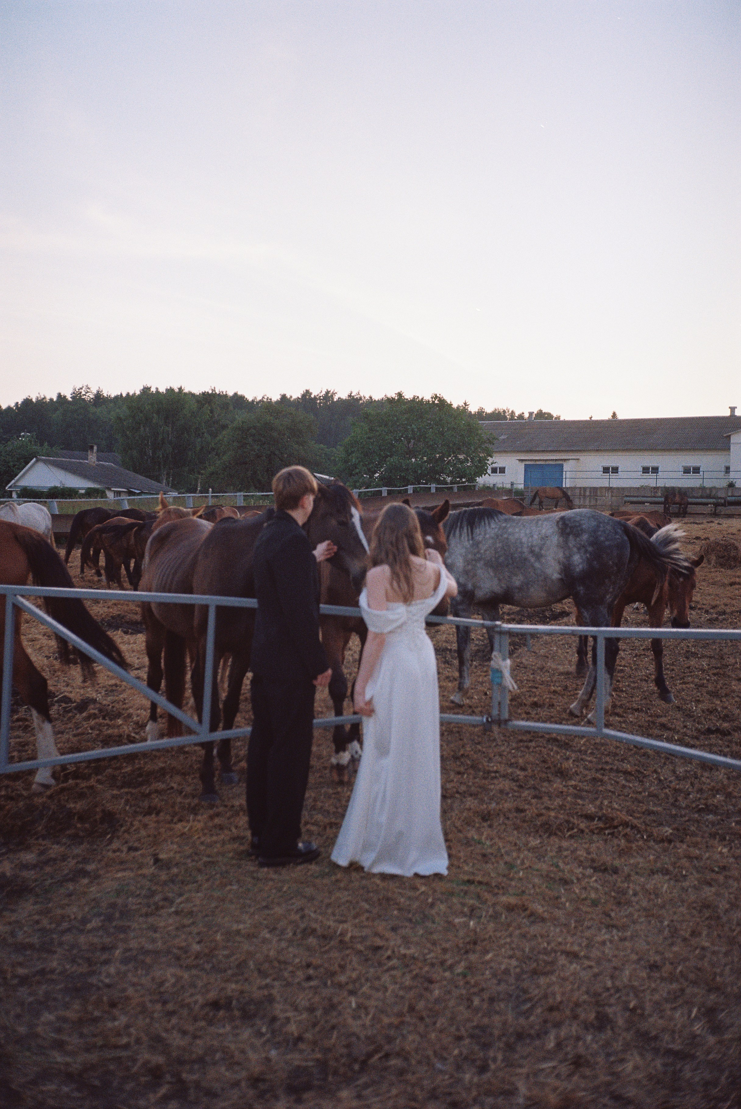 Olesya & Pavel (пленка). Свадебный фотограф Рома Родионов