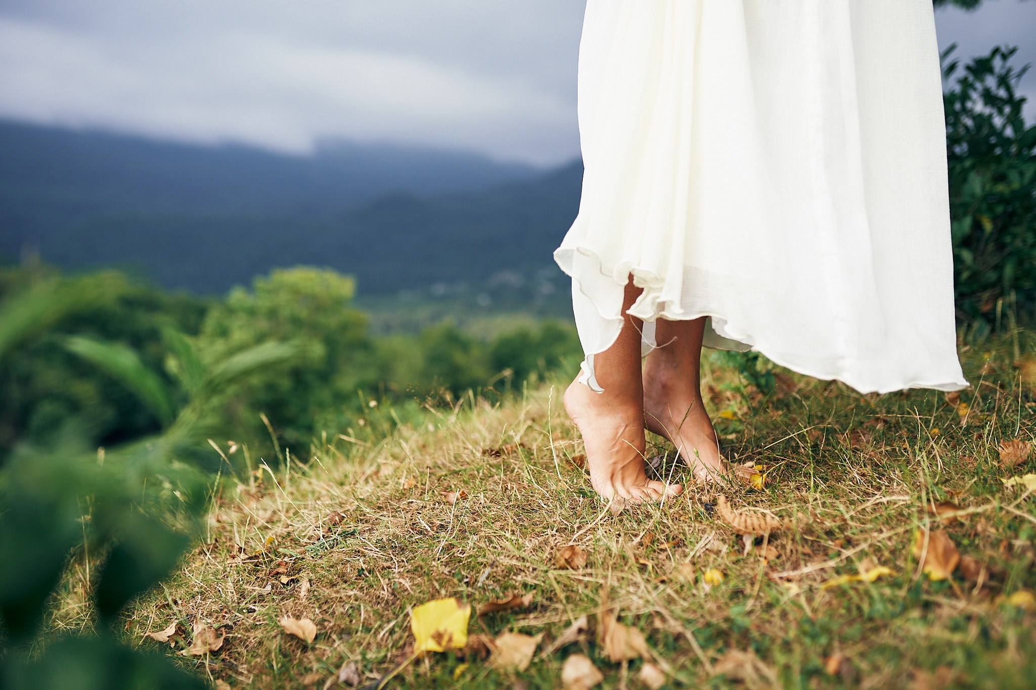Чайные плантации. Фотограф в Сочи Катя Гончарова