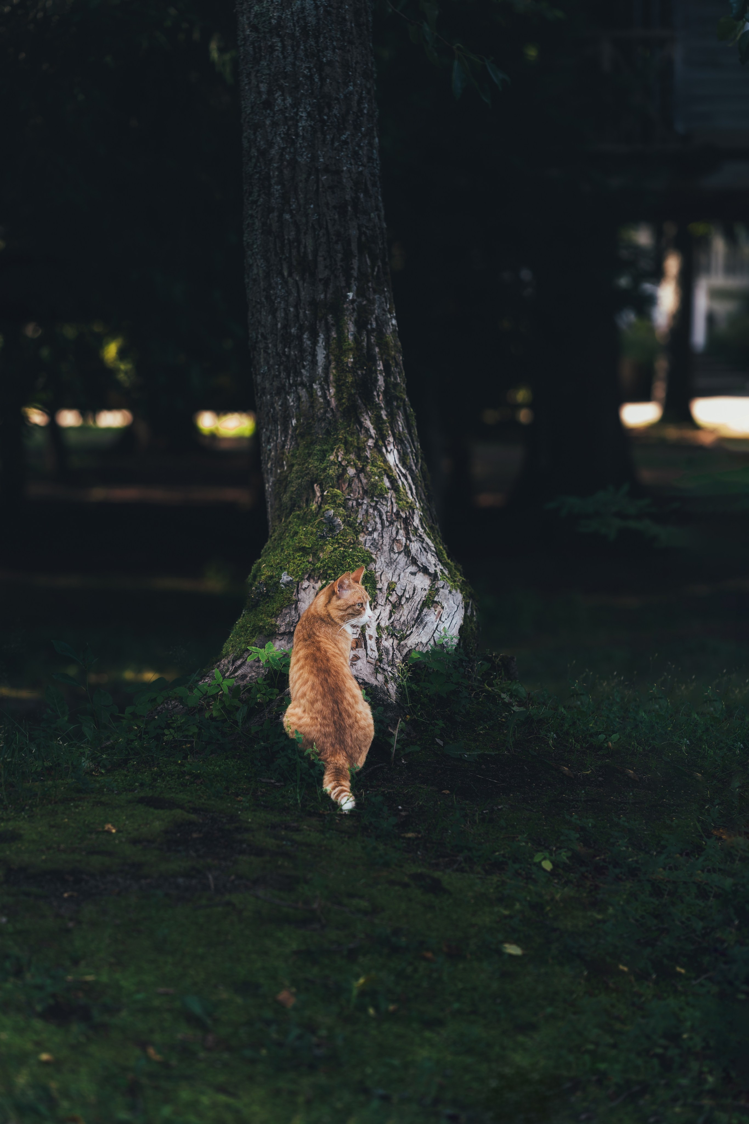 Фотограф в Королеве — Профессиональные фотосессии для всей семьи. Наталья Дукалова фотограф Щелково Королев Пушкино Москва Балашиха