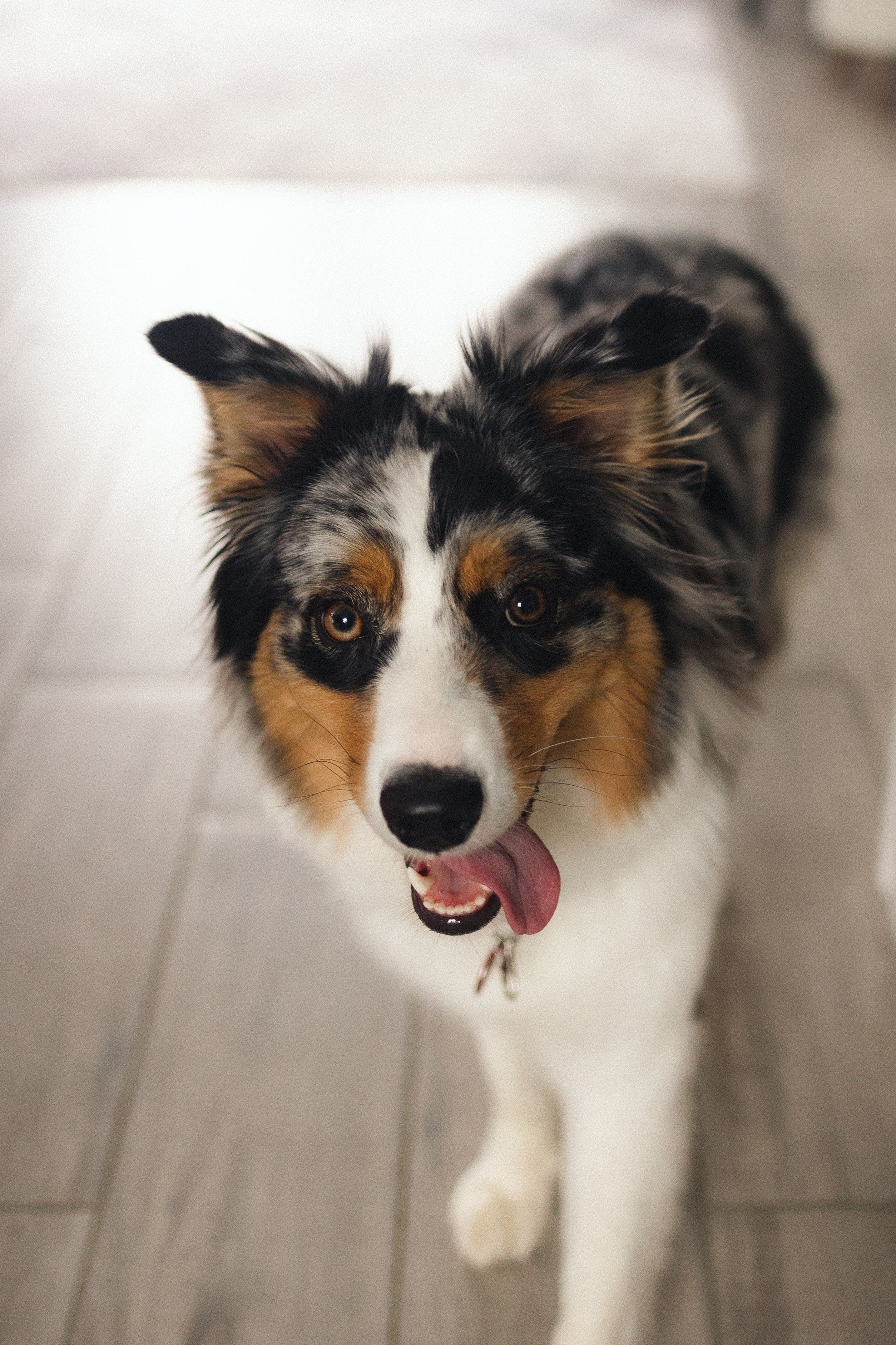 Появление брата. Фотограф из Петербурга