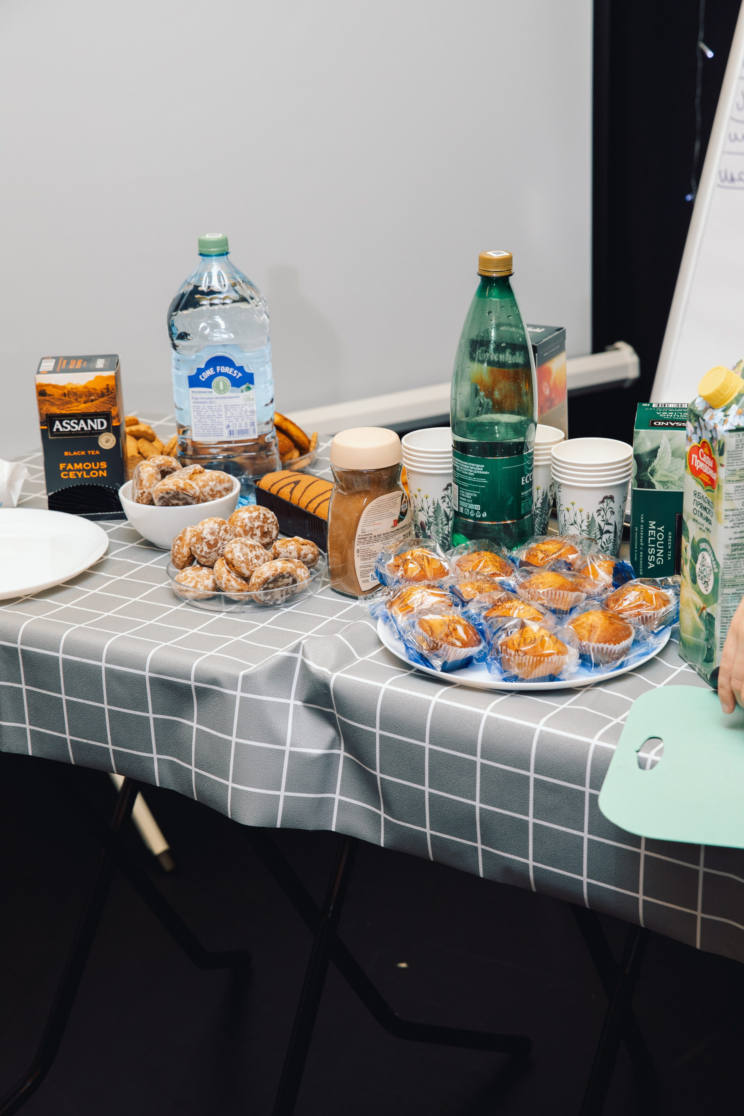 03.09.2025 Открытие АНО Возможно. Фотограф в Санкт-Петербурге Алена Сертакова