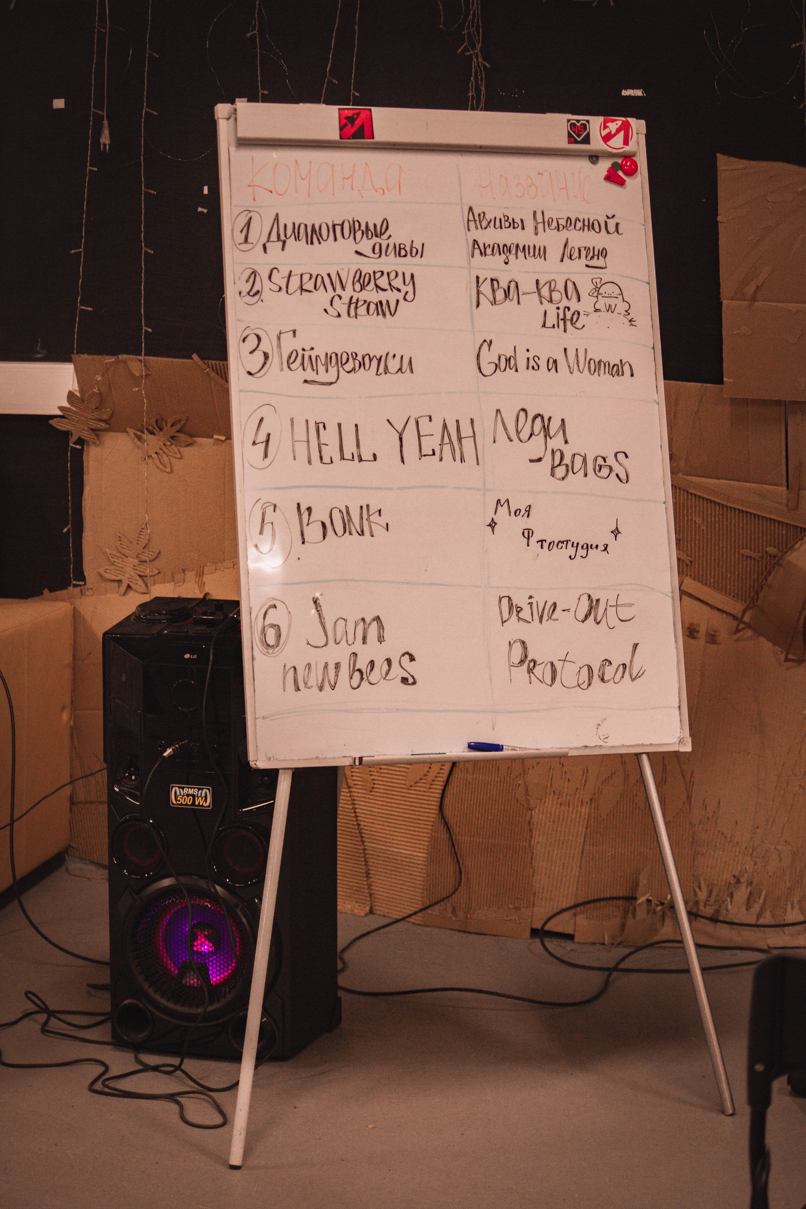 ЖЕНСКИЙ ГЕЙМДЖЕМ — Творческий сбор разработчиц. Создадим шедевр? Виталина и её фотоискусство