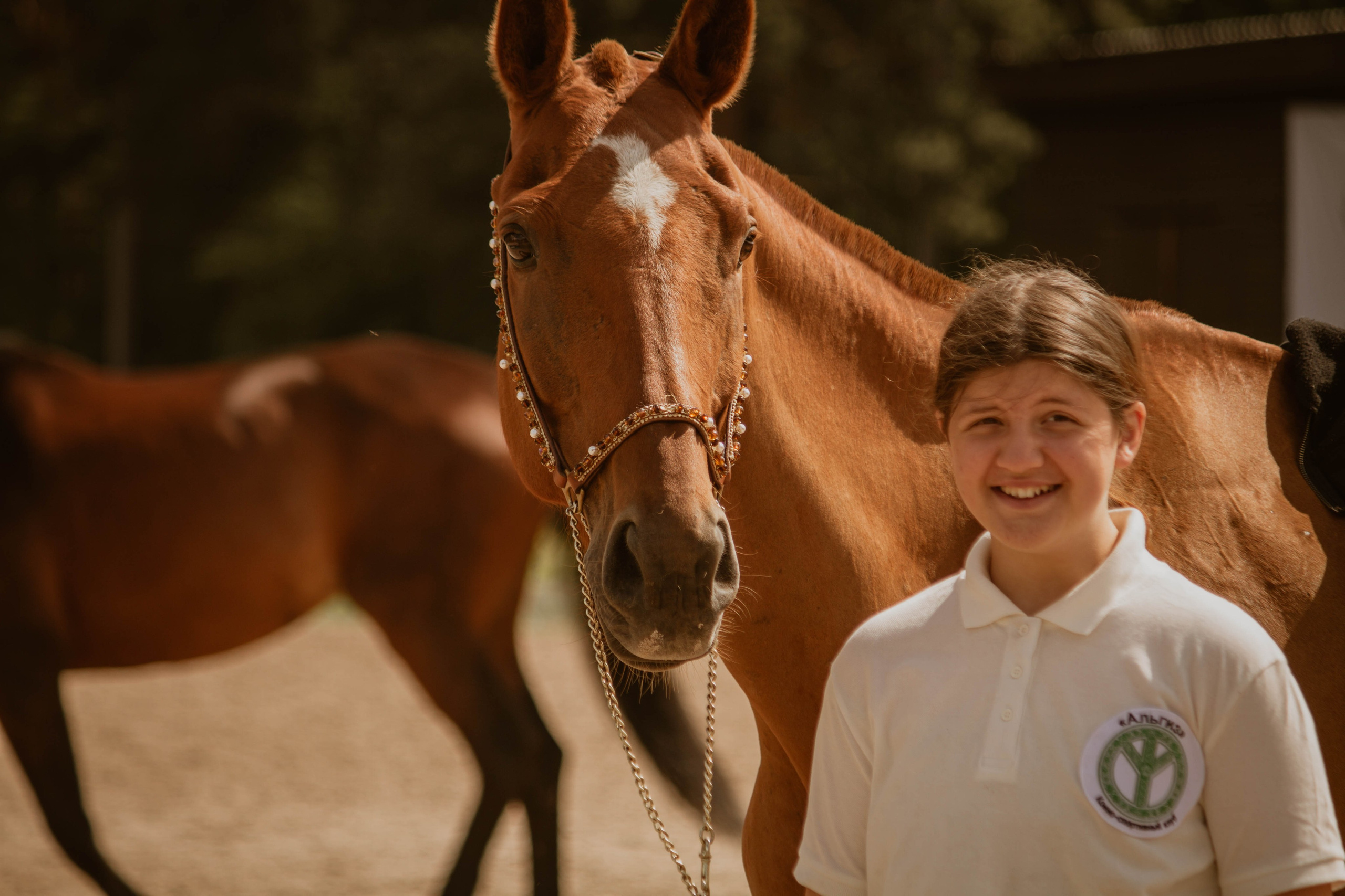 ИППОСФЕРА — Международная конная выставка. Создадим шедевр? Виталина и её фотоискусство