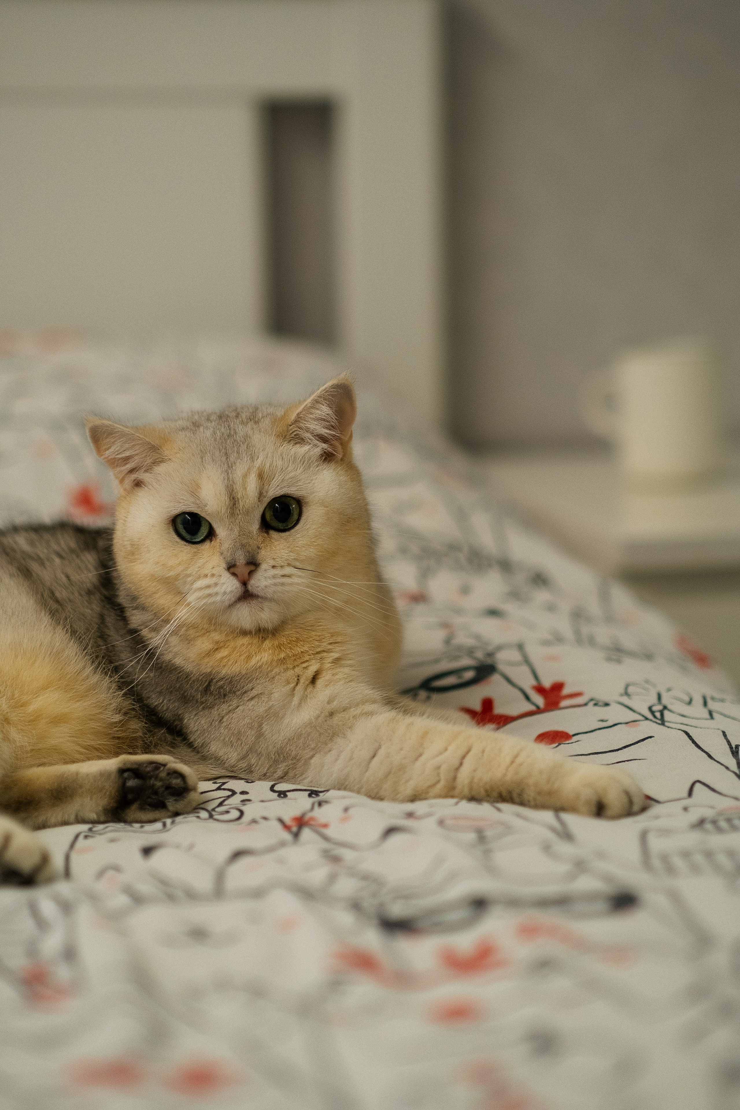 Отзывы. Свадебный и семейный фотограф Барнаул Рубцовск Бийск Алтайский край