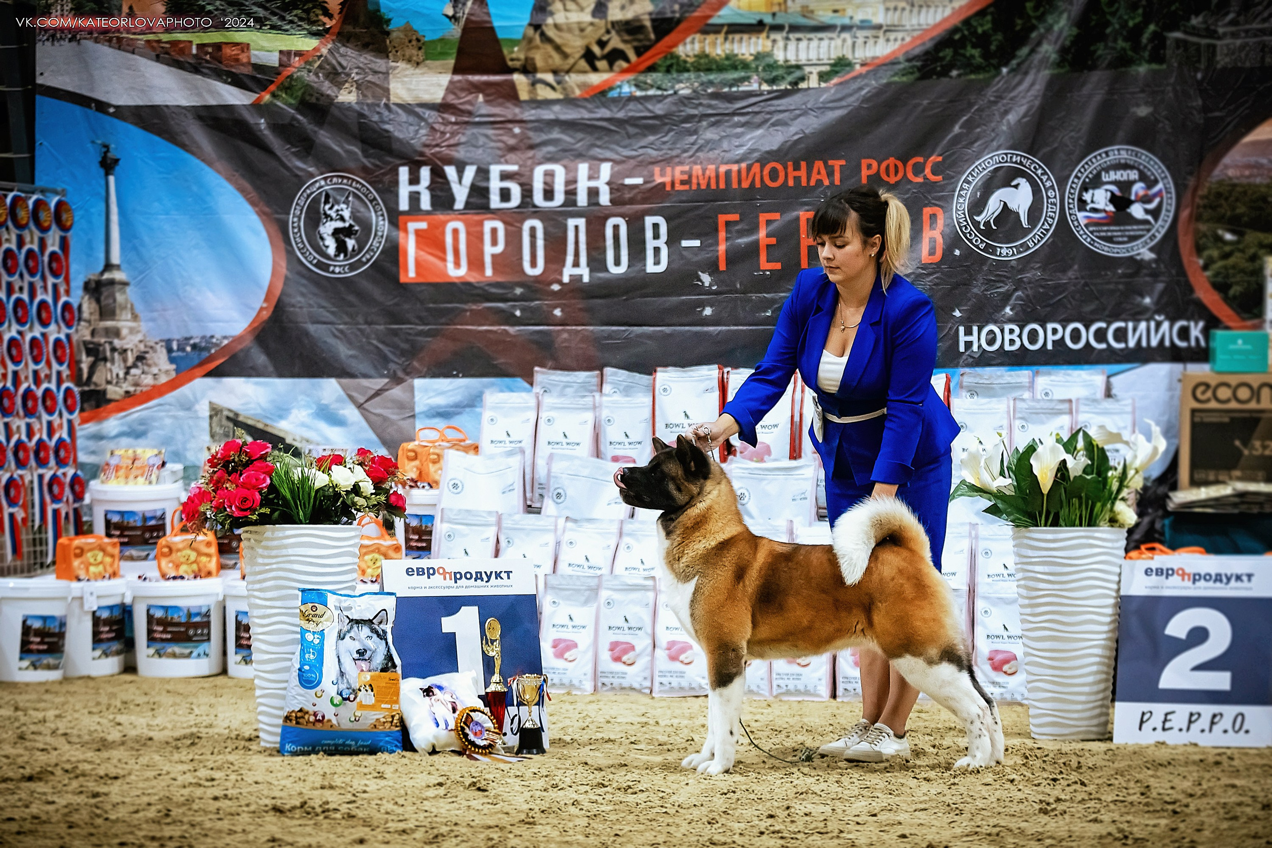 Фотосъемка собак, щенков, на выставках, фотограф анималист Россия воронеж. Питомник собак Акита, Хаски, Корги