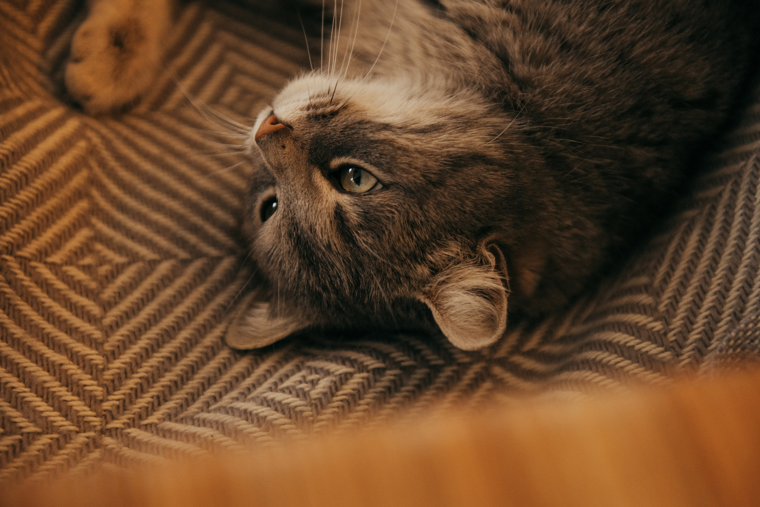 Я и мама. Свадебный и семейный фотограф Алиса Полякова |Старый Оскол | Воронеж