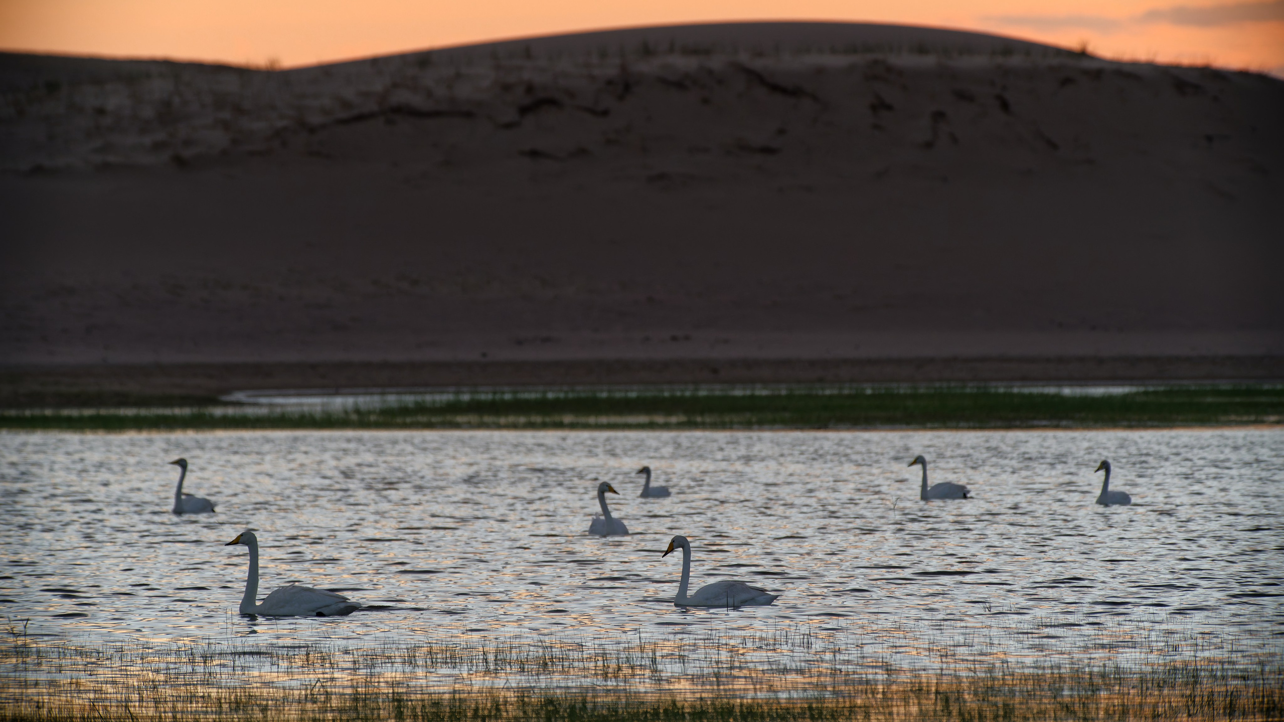 Экспедиция в Монголию (Гоби). Семоха Валерий. Фотограф