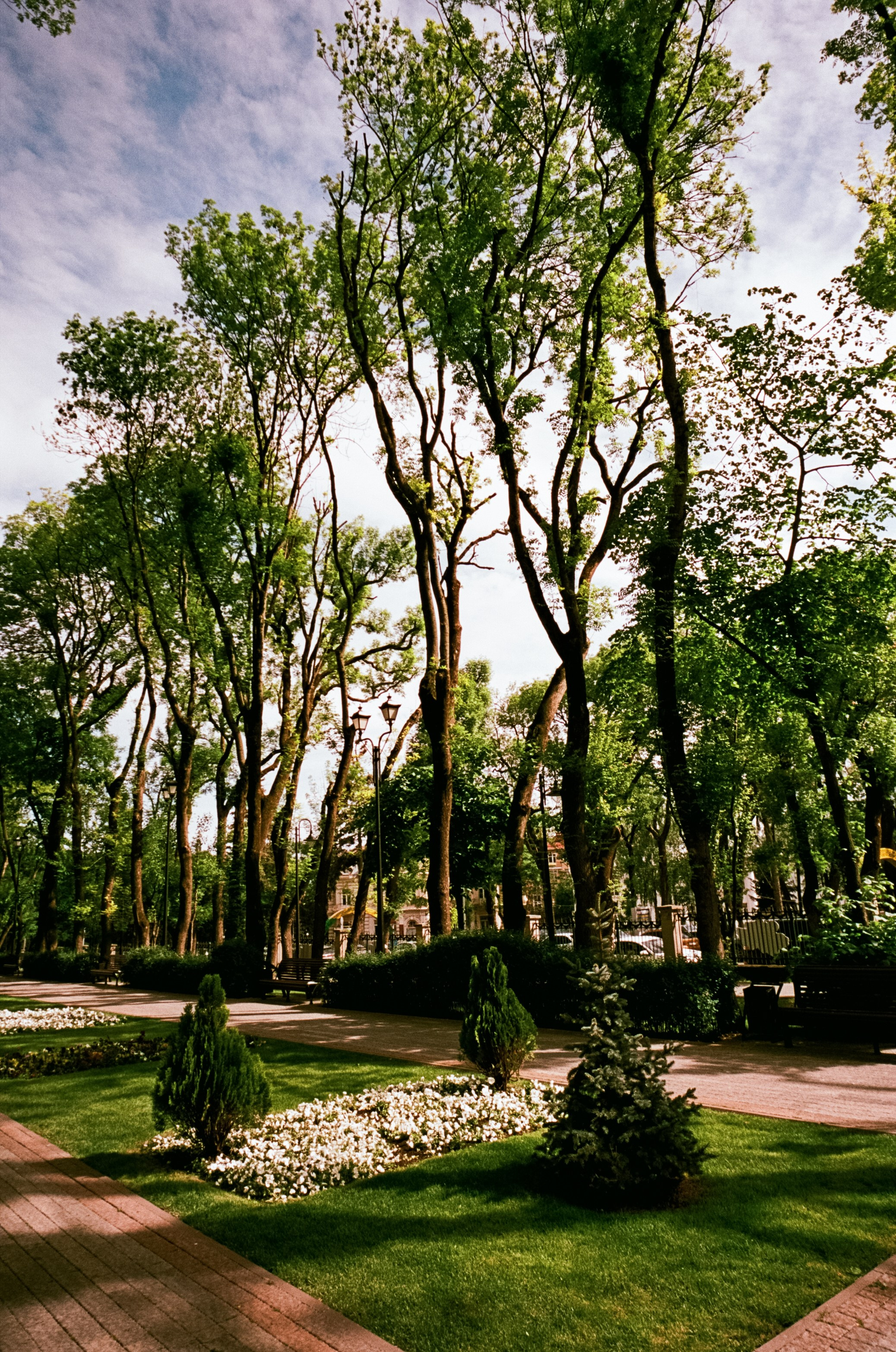 6 мая Парк Ессентуки / Voigtlander BESSA-T / Kodak Aerocolor IV