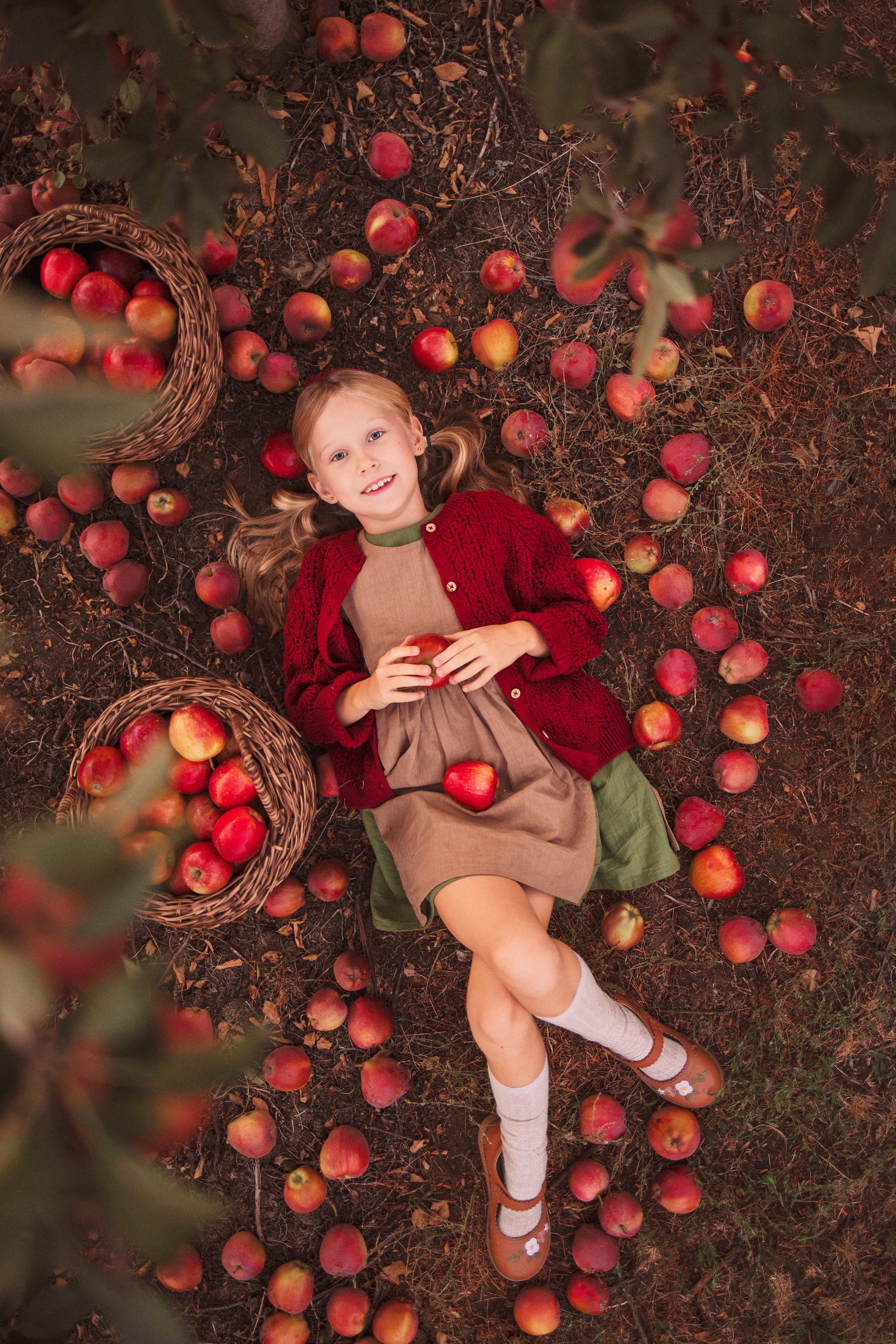 Сбор урожая Яблок. Семейный и детский фотограф в Краснодаре Анна Трашкова