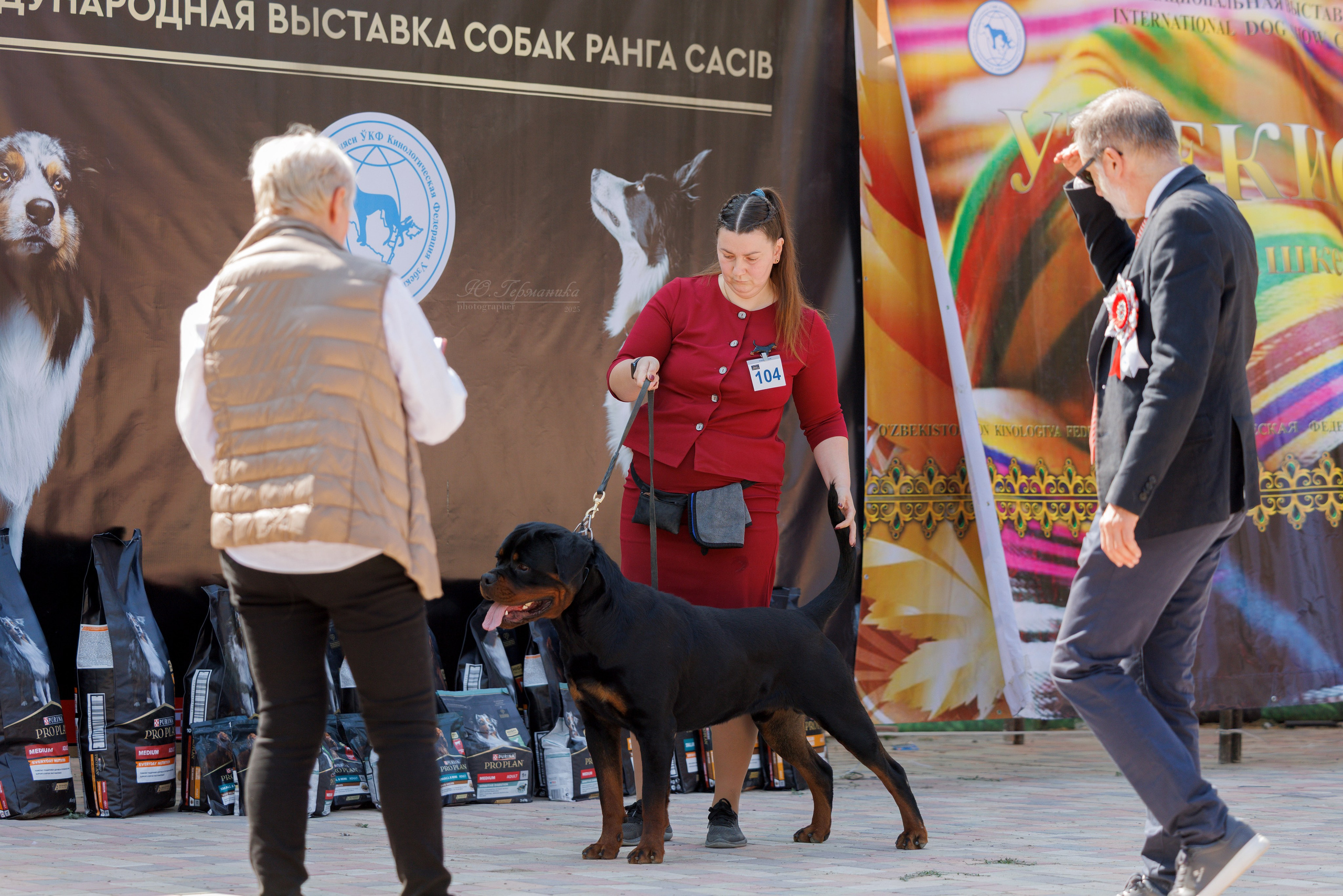 Ташкент 3хCACIB 3-5.10.2025. Фотограф-анималист Юлия Германика