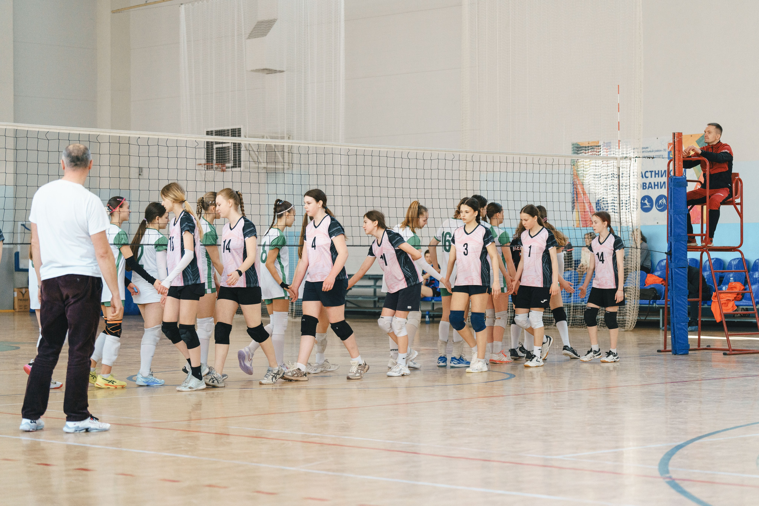 Волейбол торус. Фотограф-анималист в Санкт-Петербурге