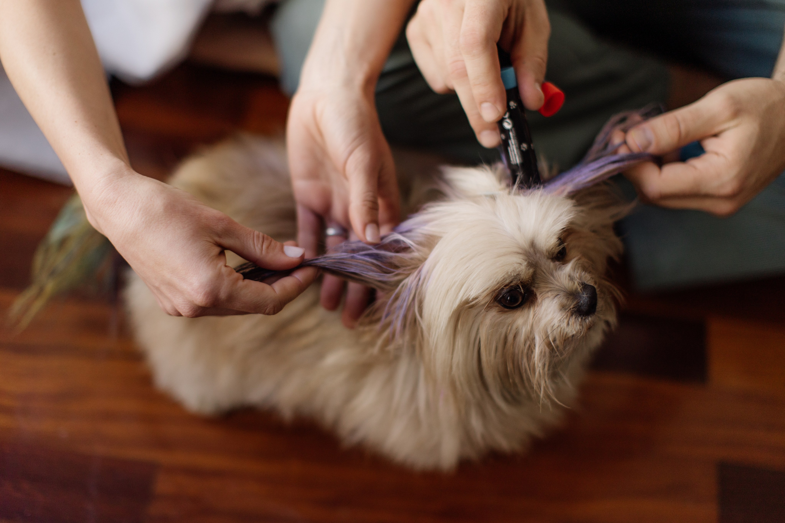 Эрик и Елена Ла- Корунья Испания. Свадебный и портретный фотограф
