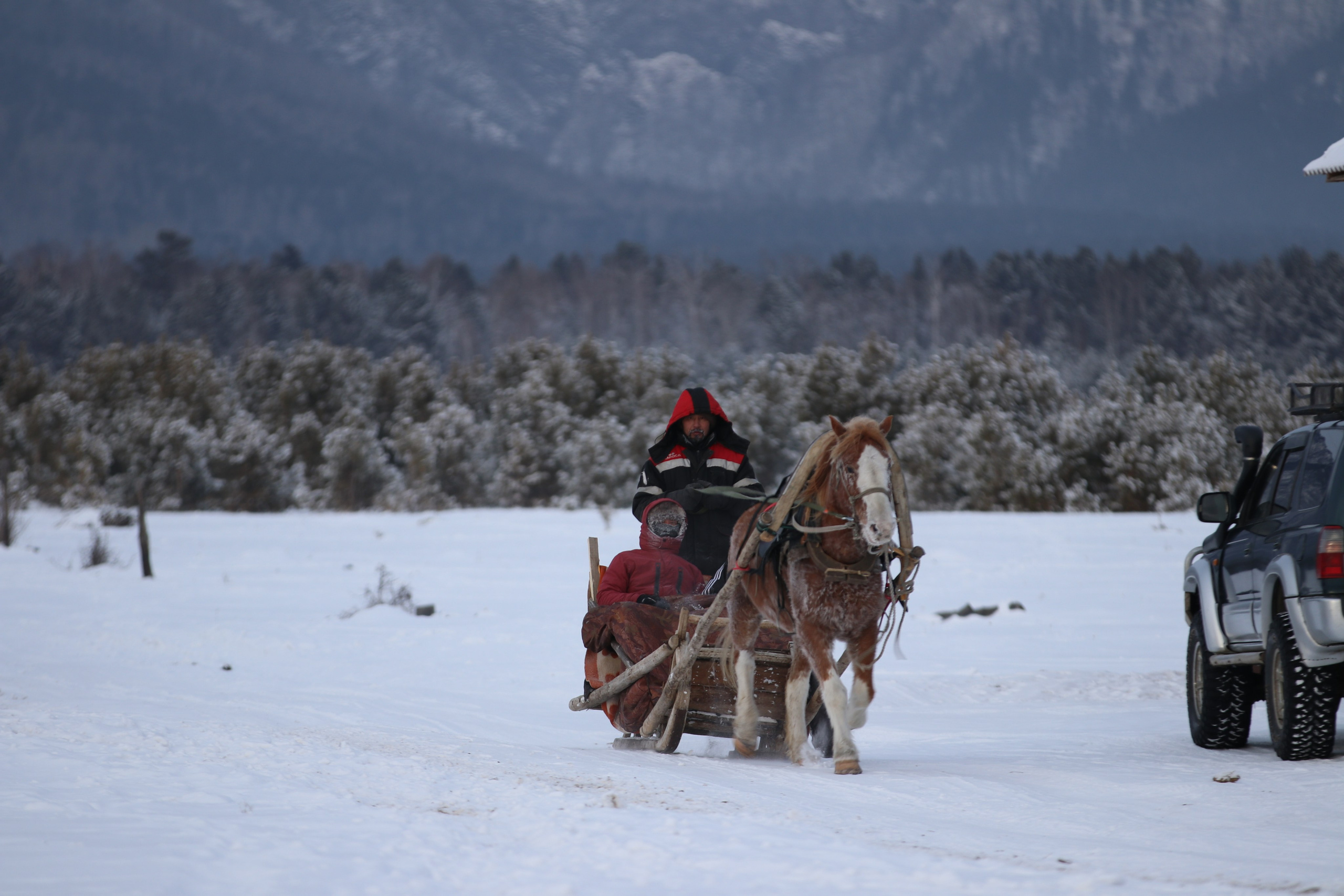 Аршан. Январь 2024. Путешественник-фотограф из Санкт-Петербурга Татьяна Свистулина