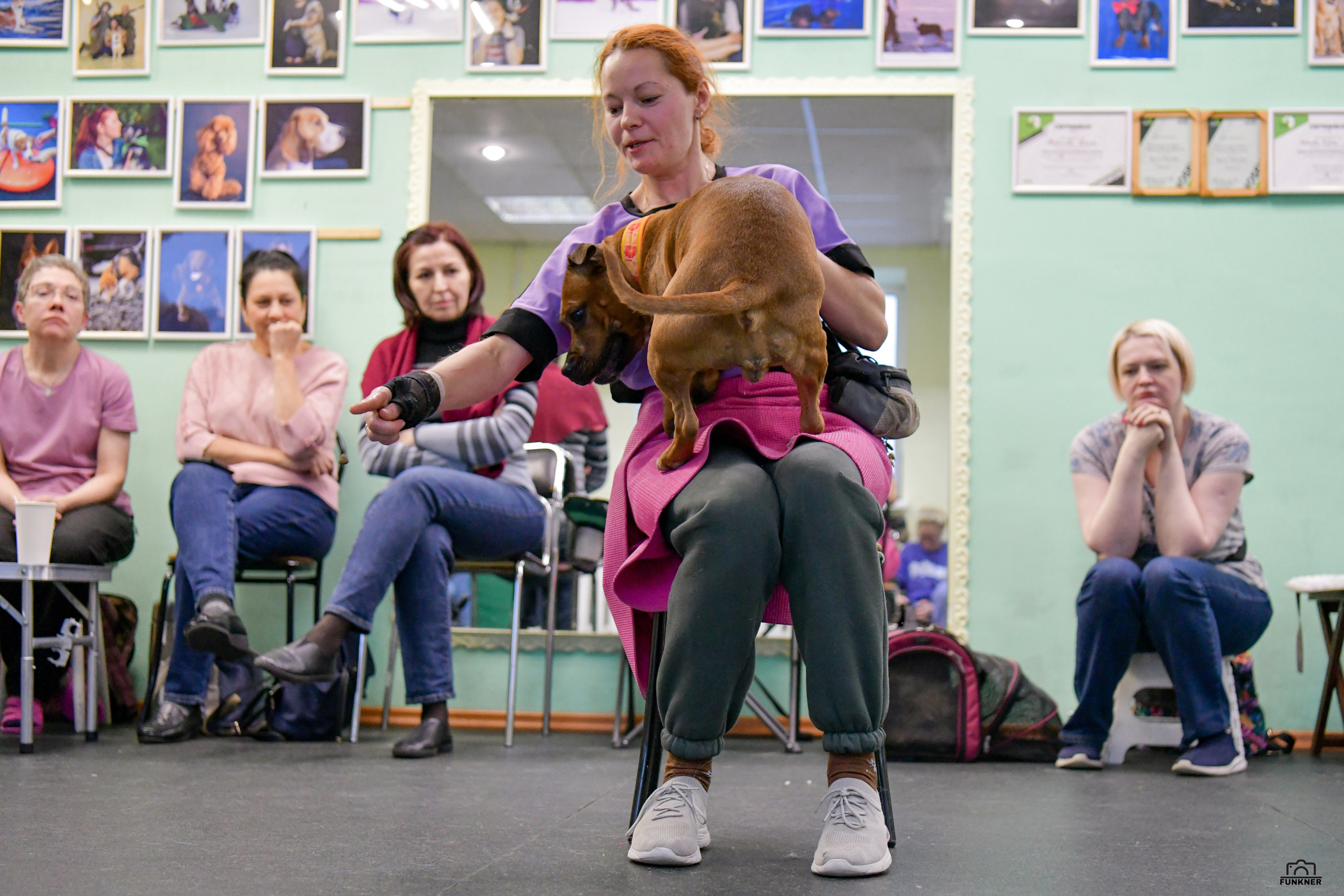 Кинологический клуб «Бодрый хвост». Свой взгляд через объектив