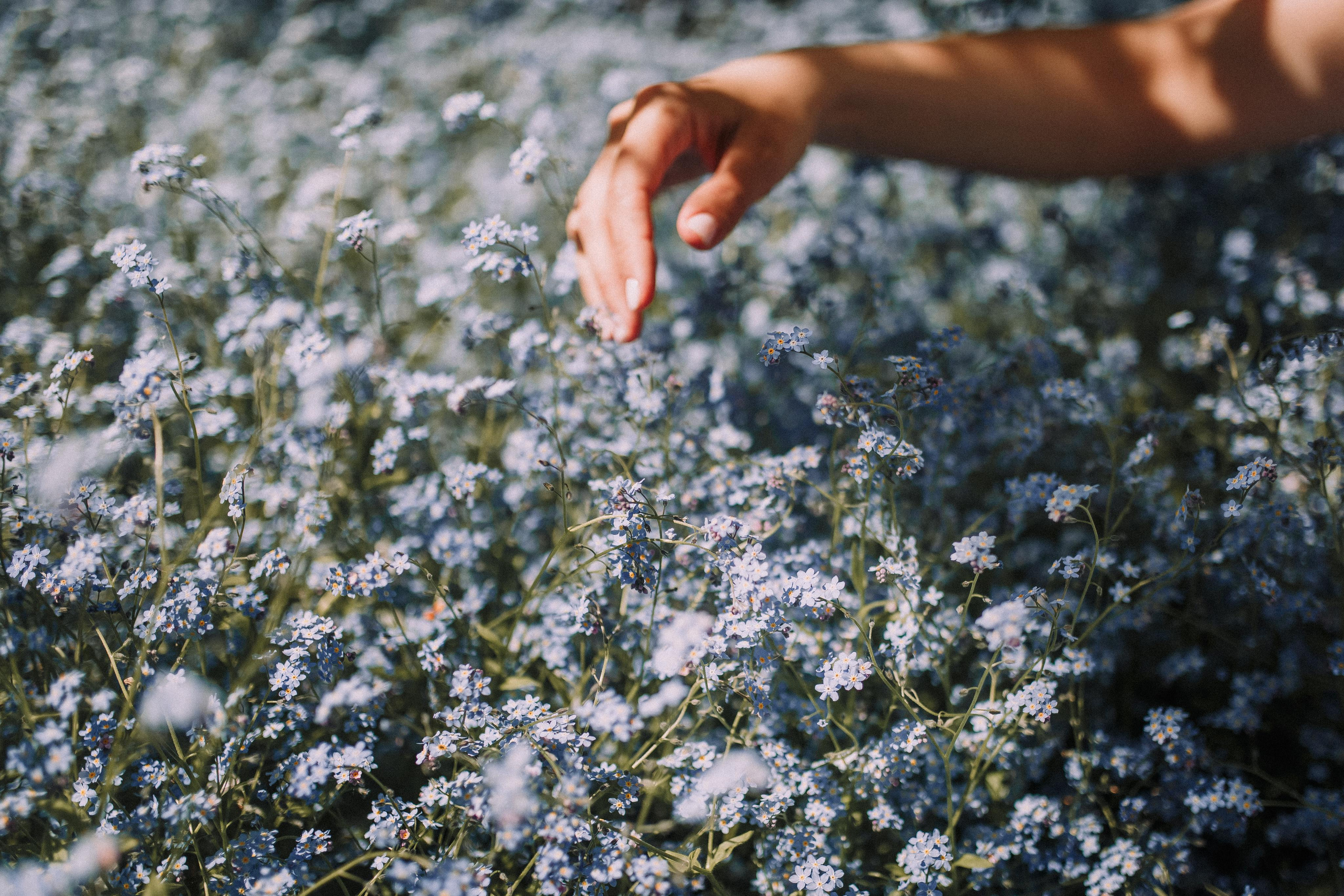 Семейная весенняя. Свадебный и семейный фотограф Москва Екатерина Верижникова